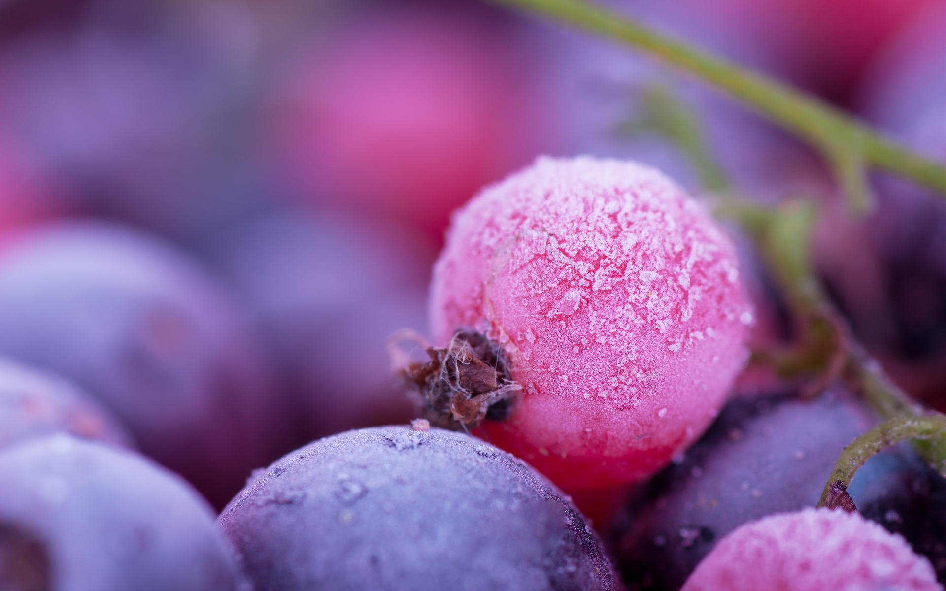 Free download wallpaper Food, Berry on your PC desktop