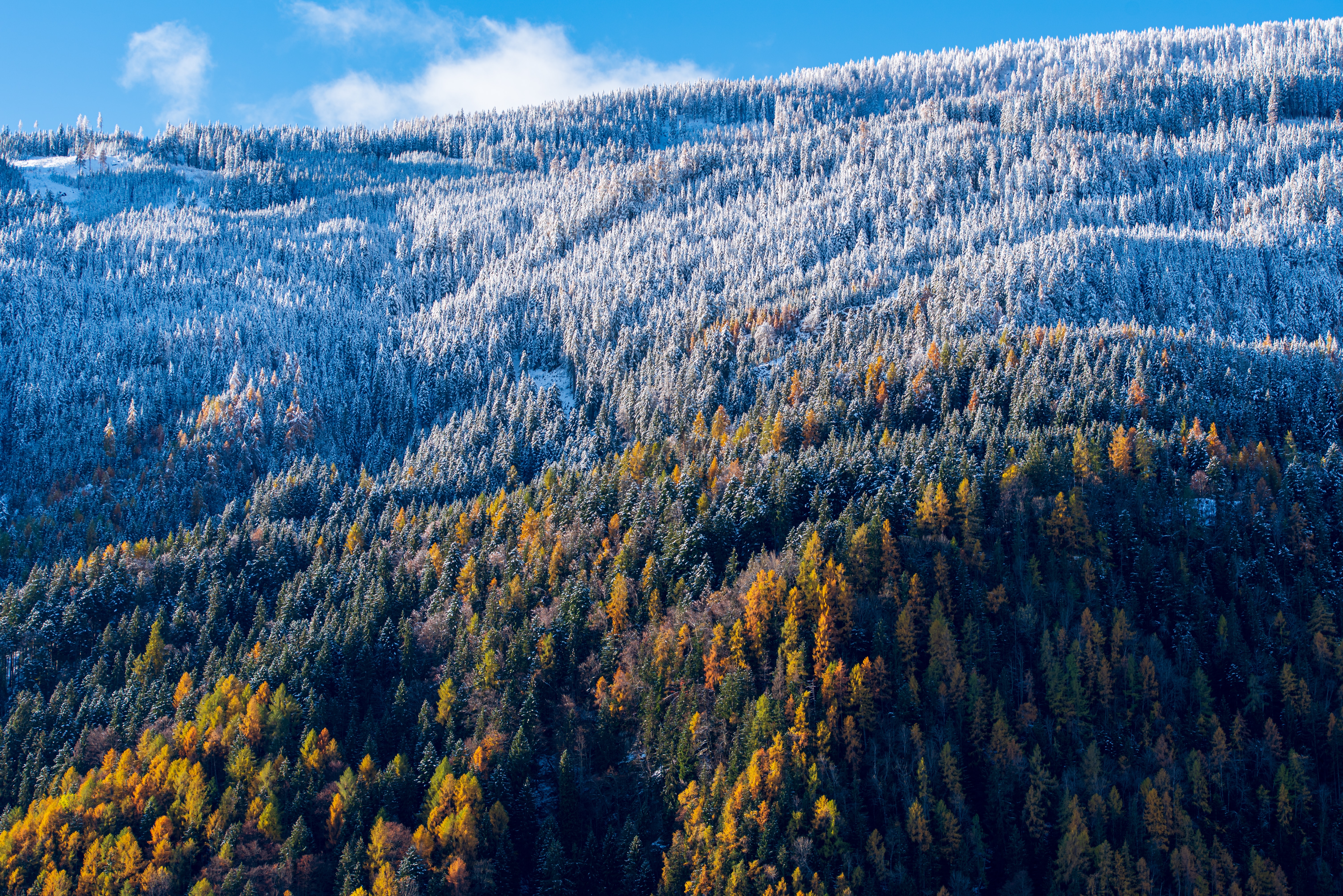 Handy-Wallpaper Schneebedeckt, Snowbound, Steigung, Bäume, Blick Von Oben, Wald, Natur kostenlos herunterladen.