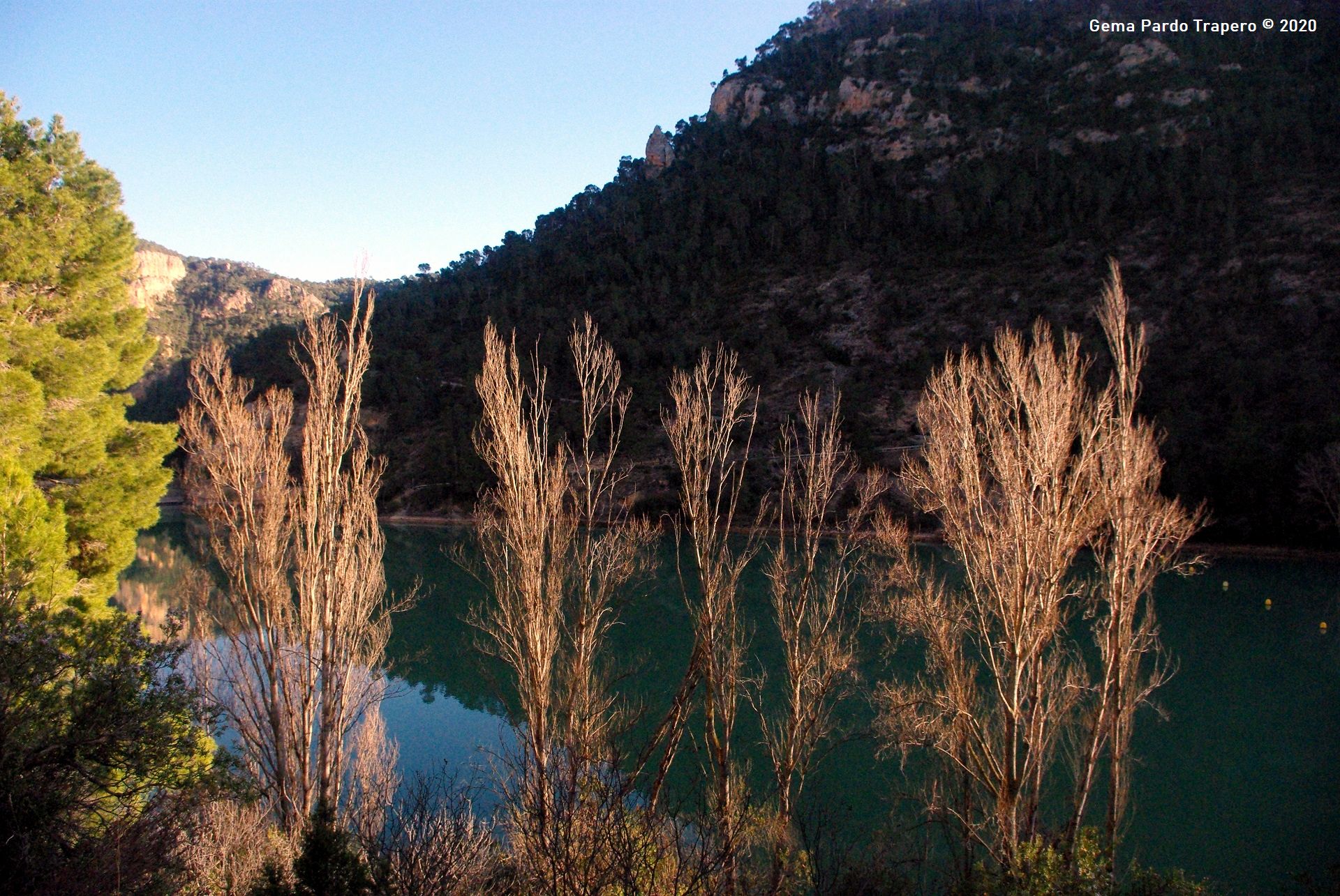Baixe gratuitamente a imagem Pântano, Vegetação, Espanha, Terra/natureza na área de trabalho do seu PC