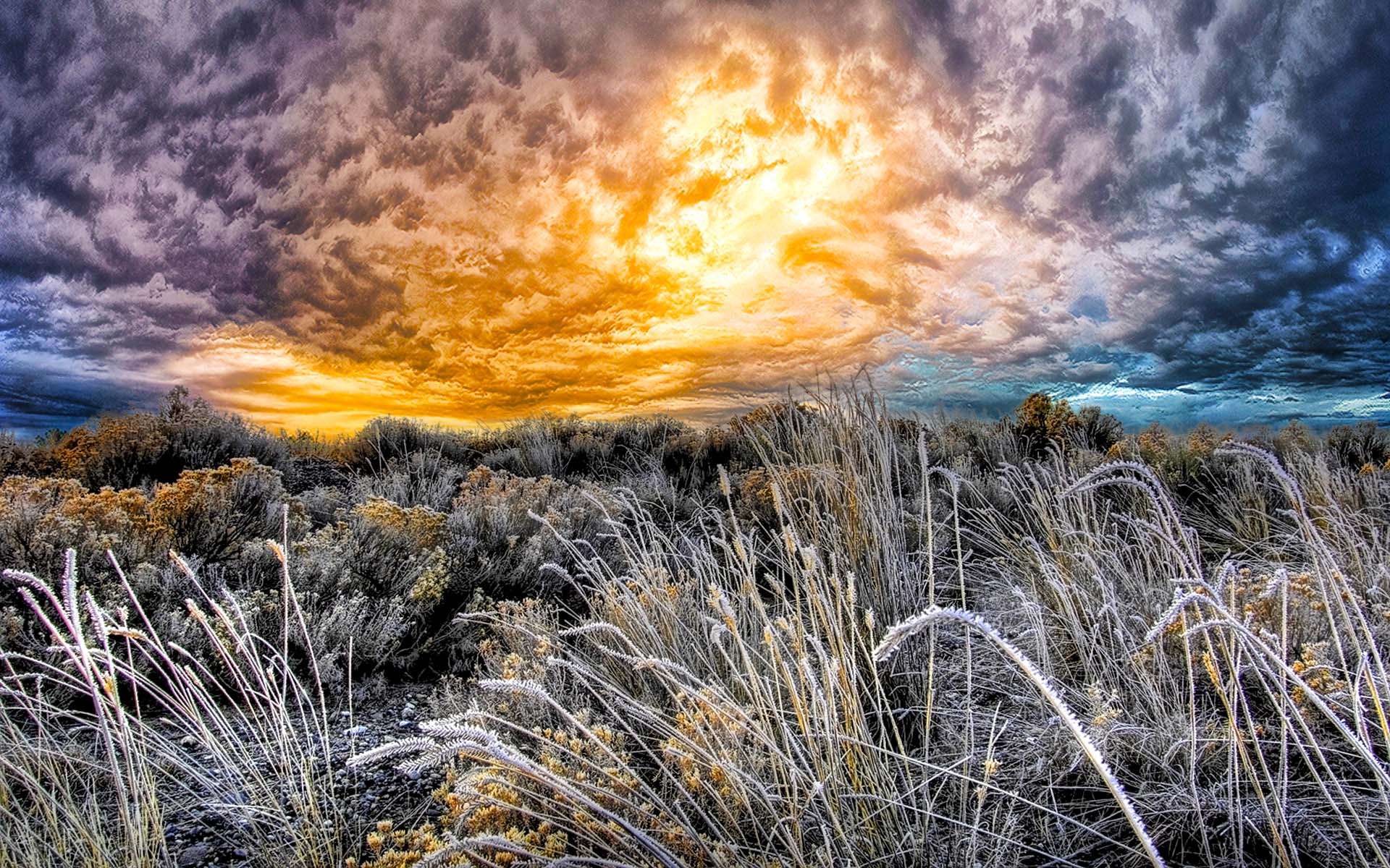 Laden Sie das Feld, Erde/natur-Bild kostenlos auf Ihren PC-Desktop herunter