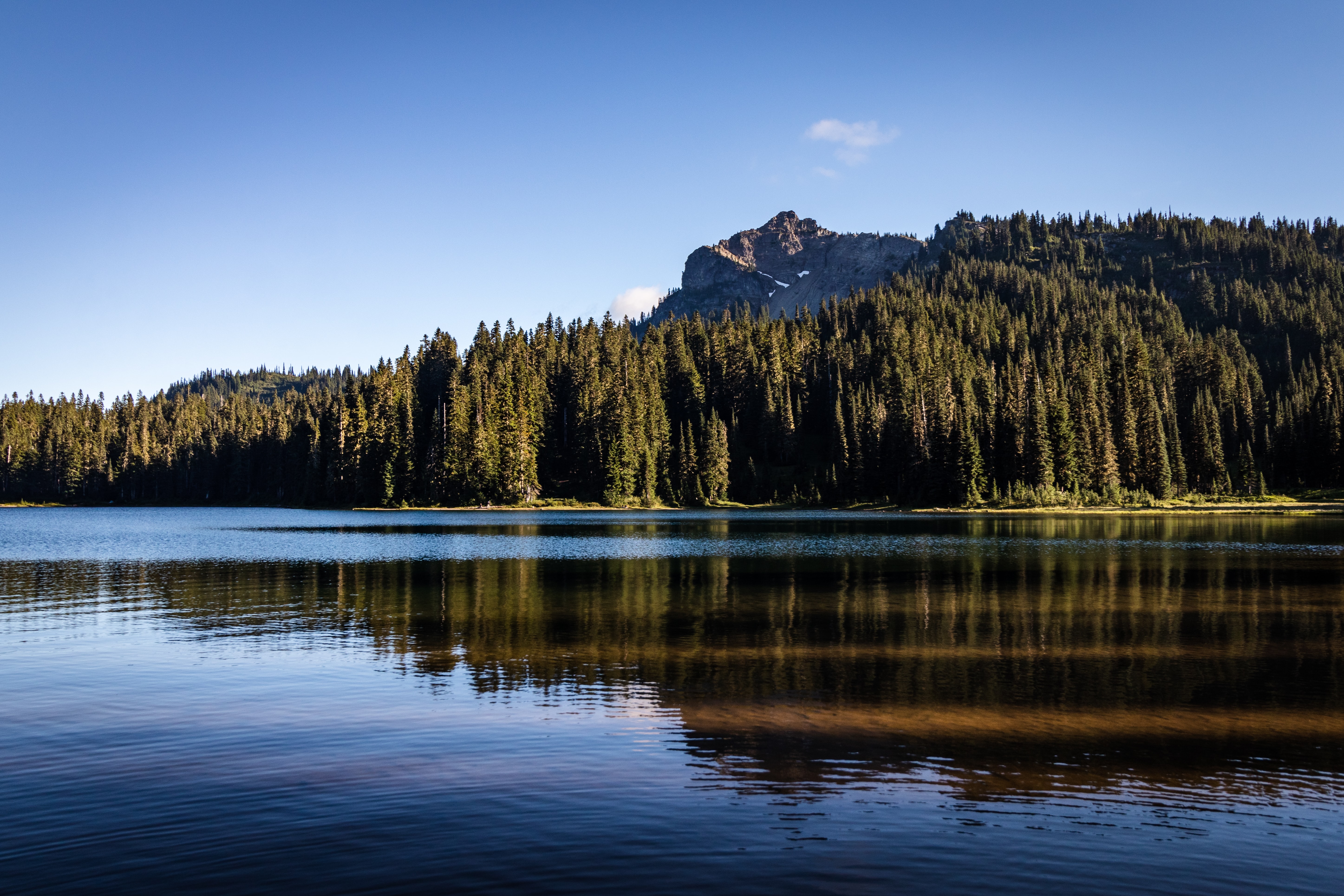Free download wallpaper Nature, Trees, Rocks, Lake, Fir, Spruce, Reflection on your PC desktop