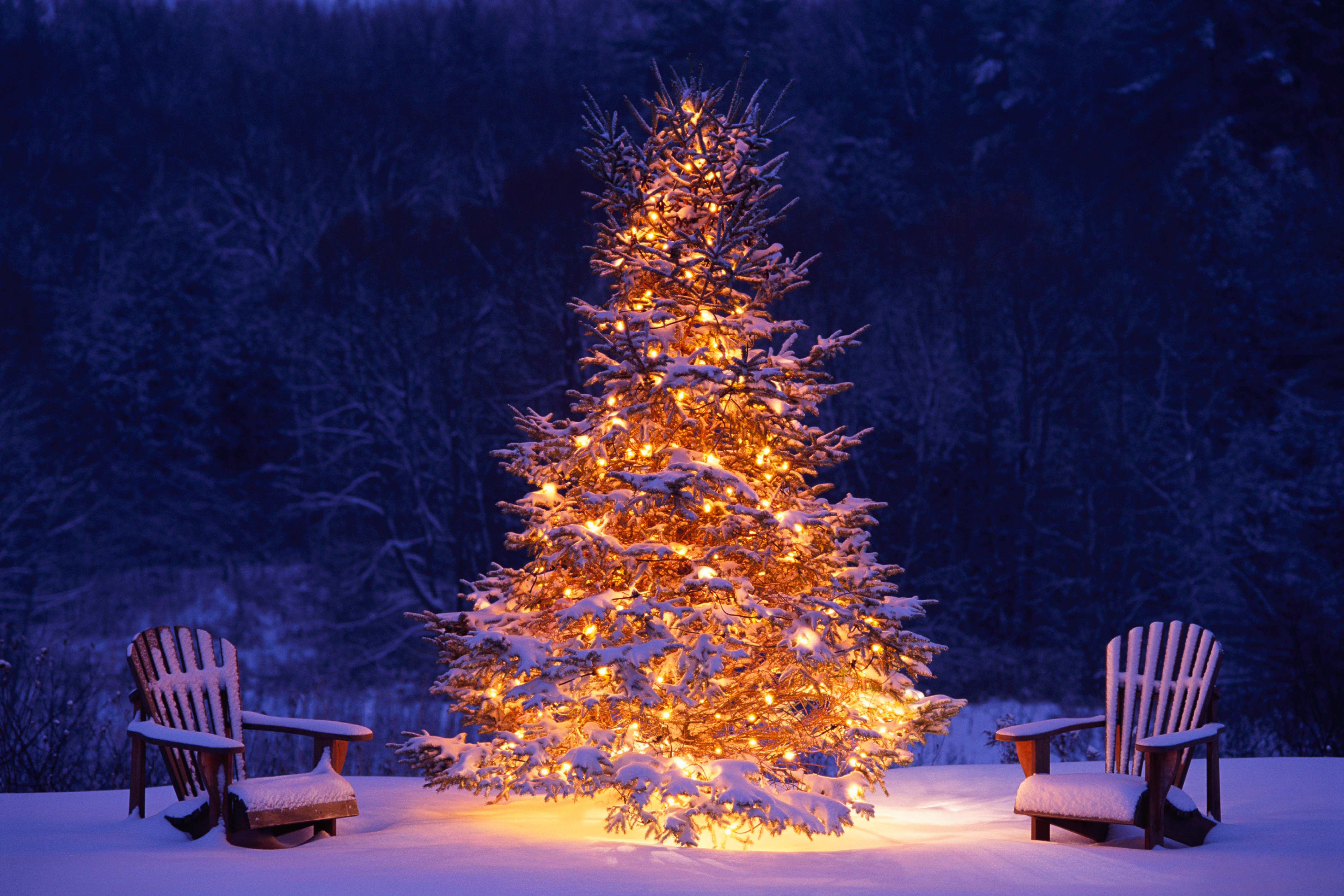 1529888 скачать обои огни, зима, снег, праздничные, рождественская елка, рождество, дерево, стул - заставки и картинки бесплатно