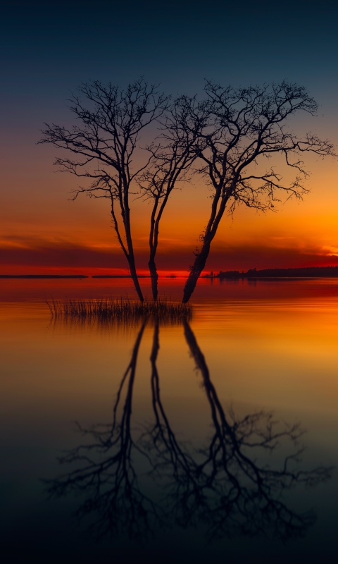 Download mobile wallpaper Nature, Sunset, Horizon, Lake, Reflection, Tree, Earth for free.