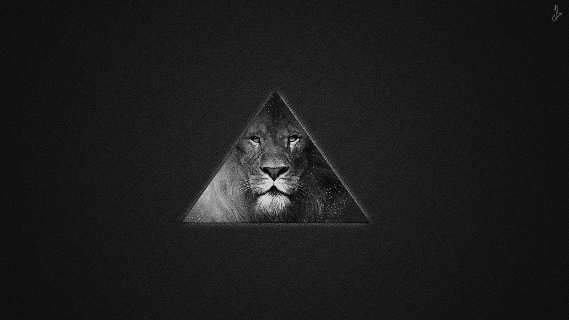 Download mobile wallpaper Predator, Lion, Texture for free.