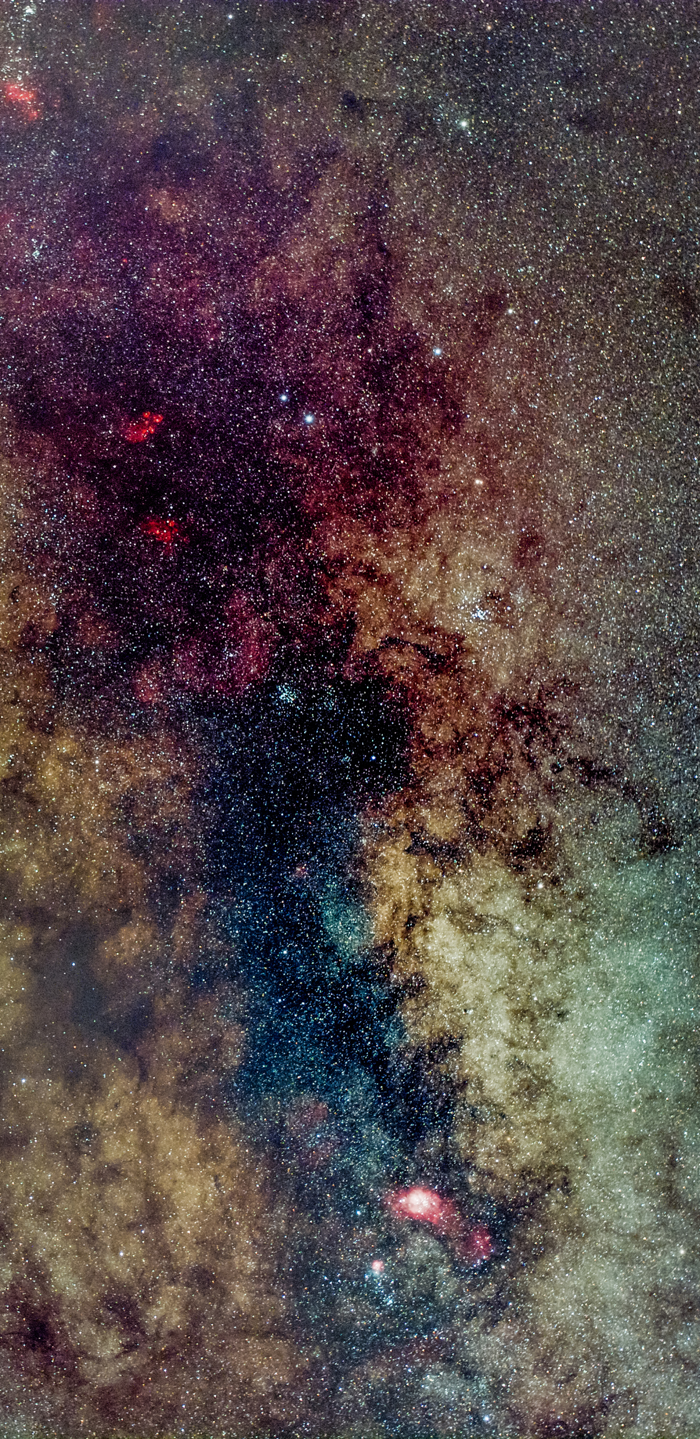 Laden Sie das kostenlose Hintergrundbild 1310704:  Hintergrundbild für das Handy herunter