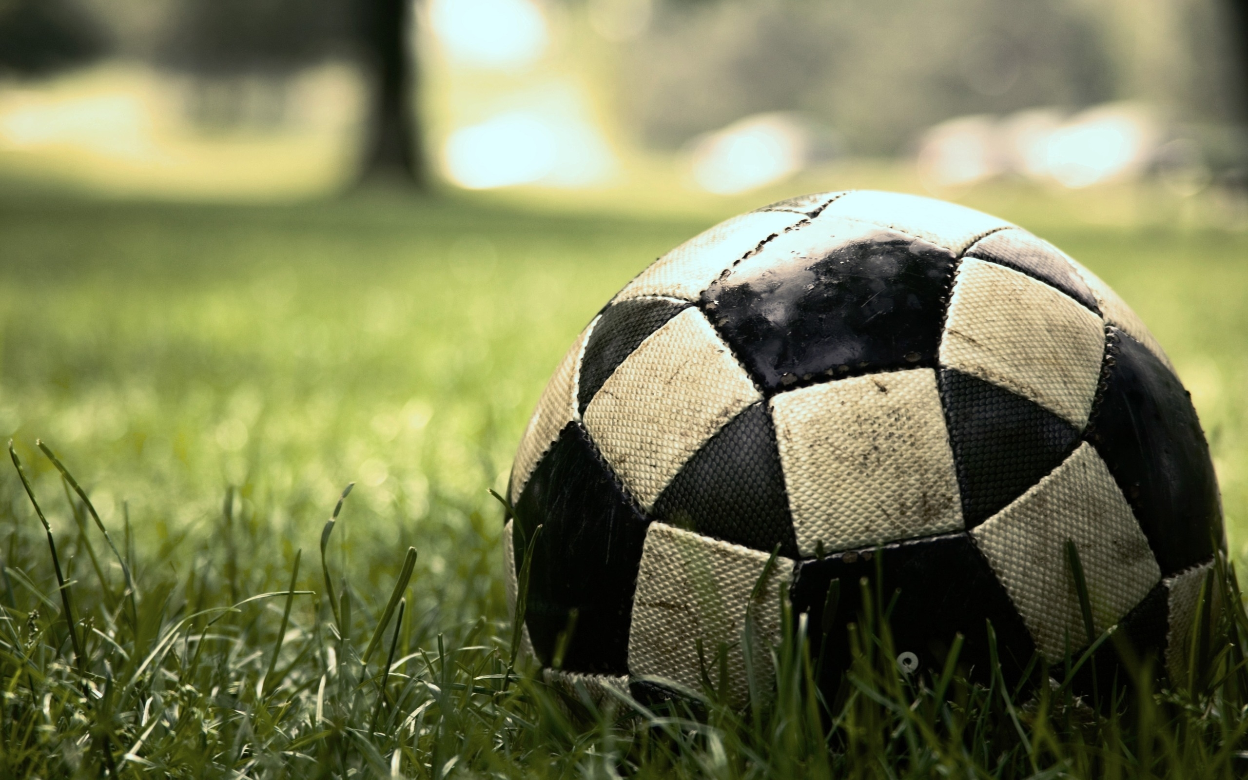 Descarga gratis la imagen Deportes, Fútbol en el escritorio de tu PC