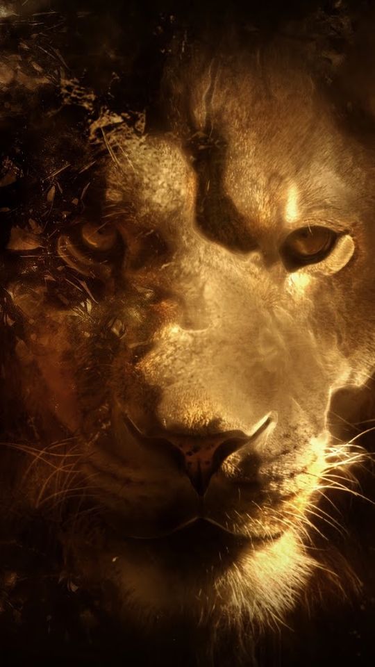 Download mobile wallpaper Cats, Lion, Animal for free.