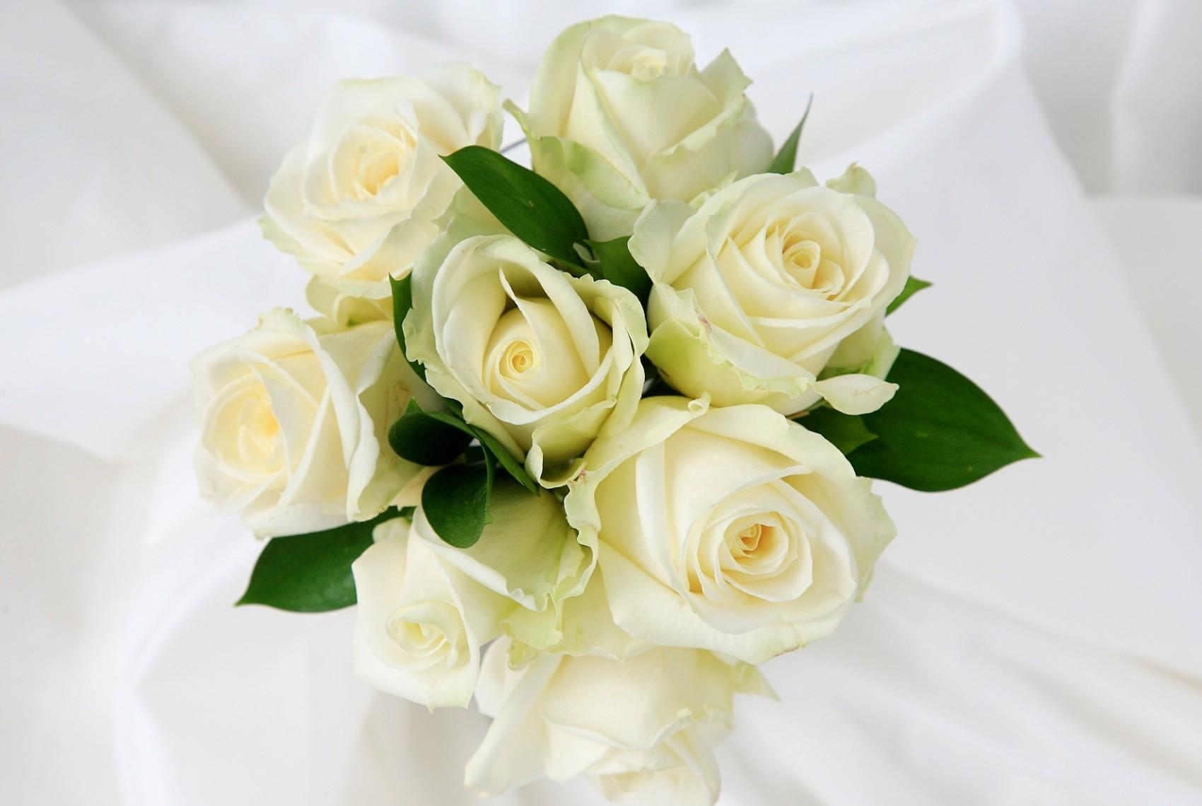 flowers, roses, white, bouquet, tenderness