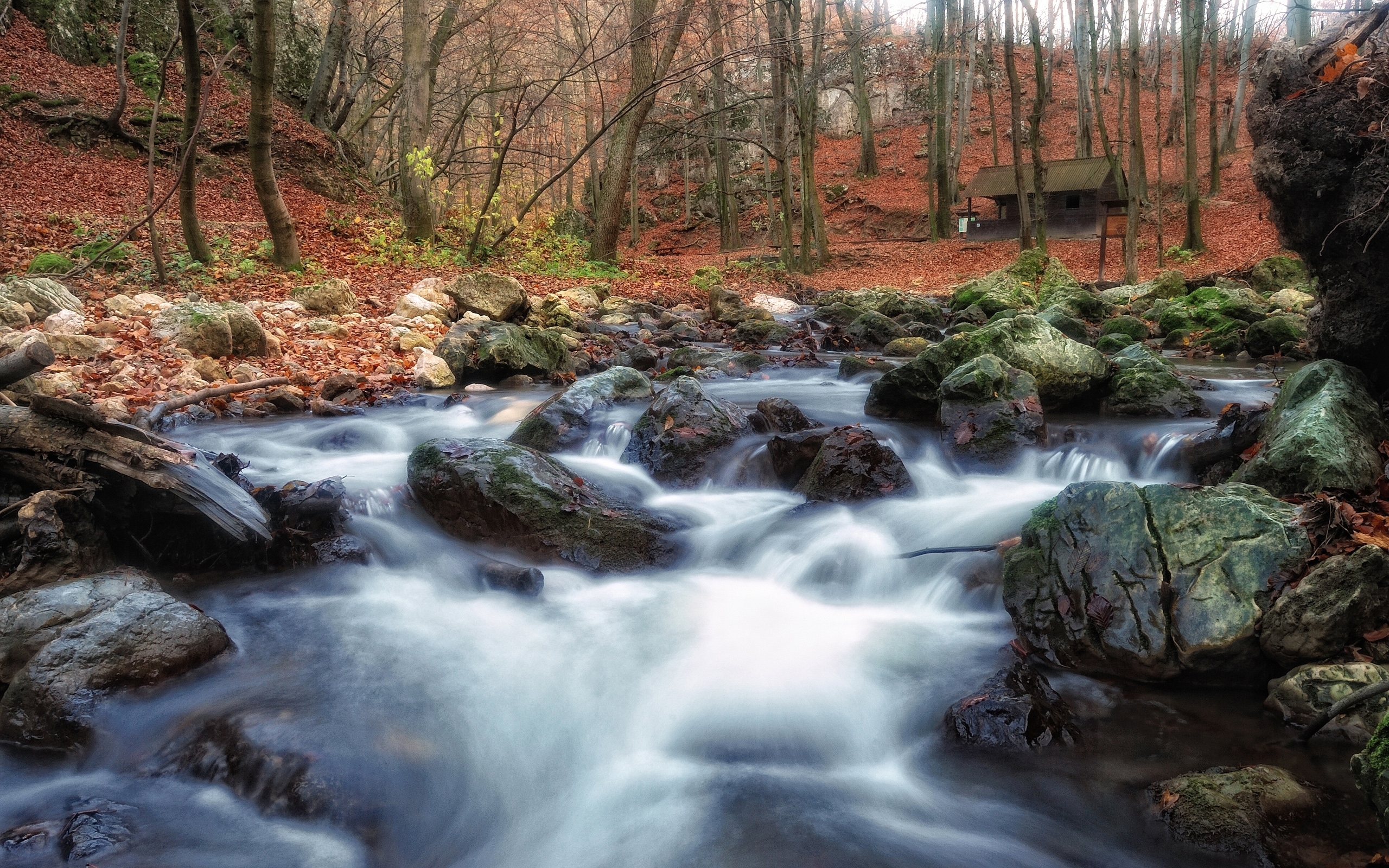 Handy-Wallpaper Natur, Landschaft kostenlos herunterladen.