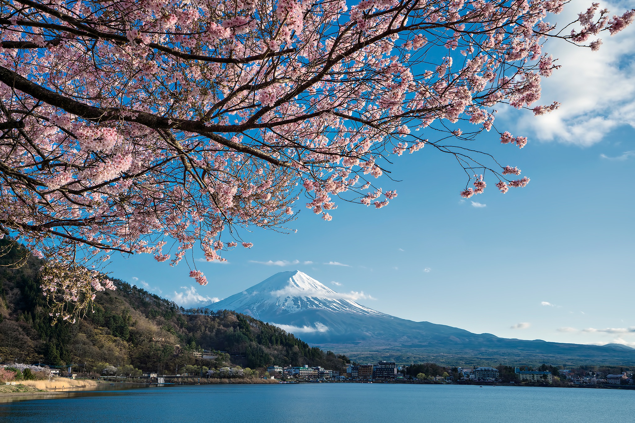Скачать обои бесплатно Сакура, Озеро, Япония, Весна, Гора Фудзи, Вулканы, Земля/природа картинка на рабочий стол ПК