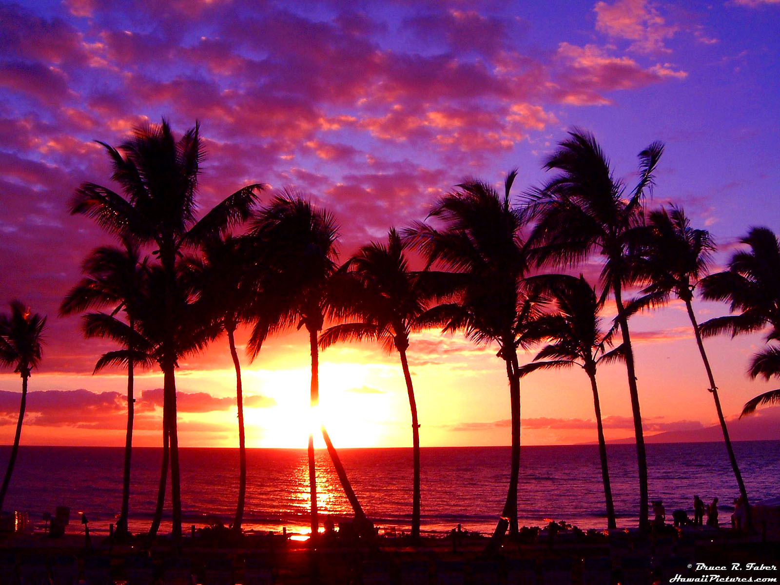 Download mobile wallpaper Sun, Sunset, Landscape, Palms for free.