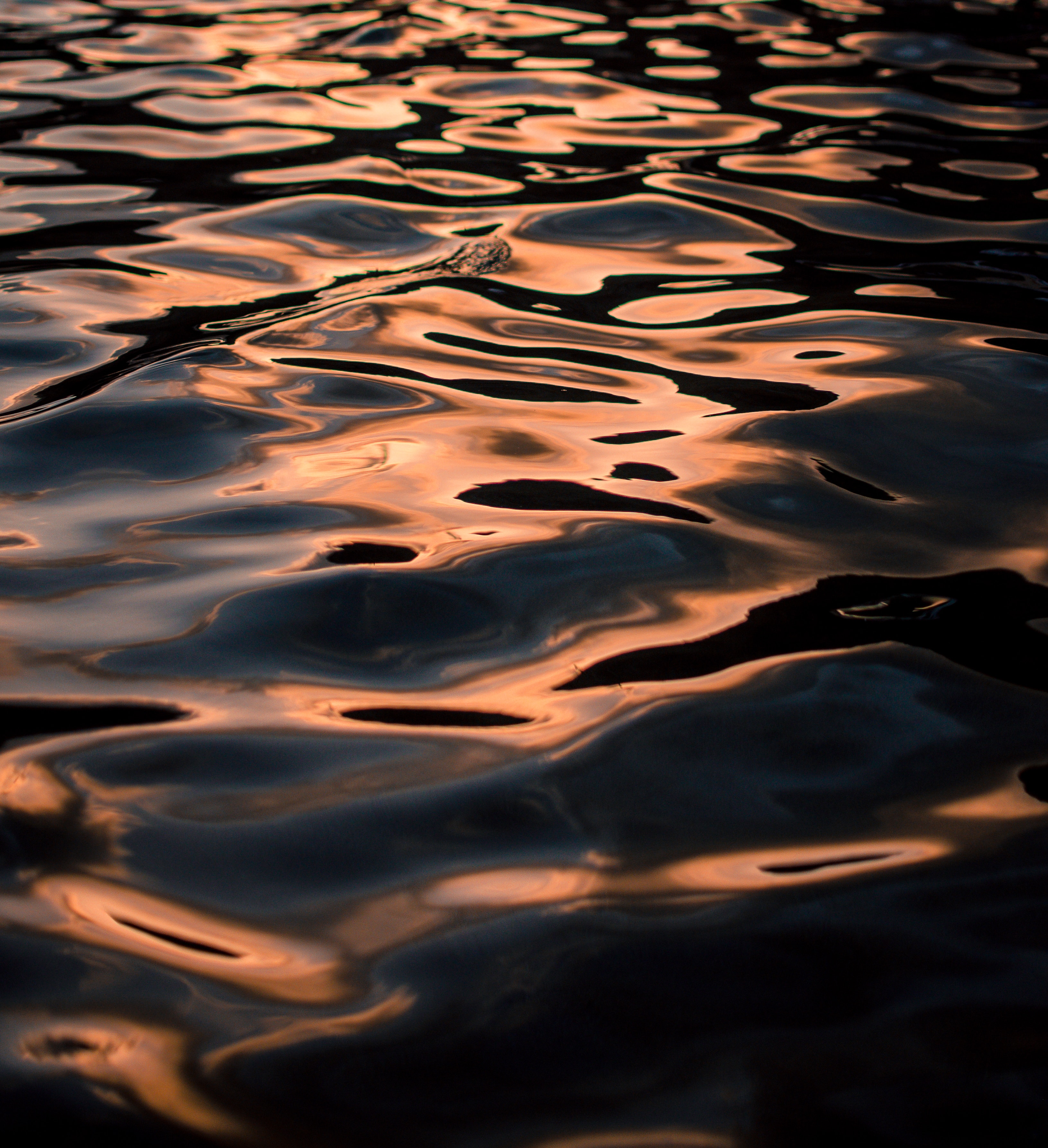nature, glare, water surface, row, overflow, overflows