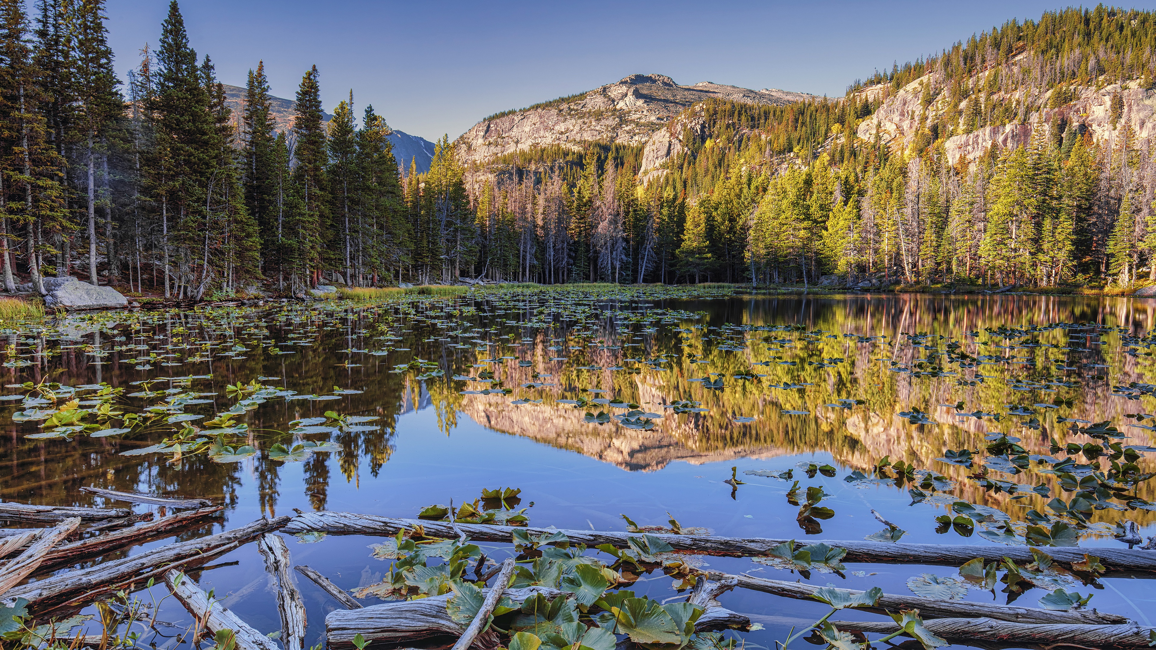Laden Sie das Seen, See, Gebirge, Tanne, Erde/natur, Spiegelung-Bild kostenlos auf Ihren PC-Desktop herunter