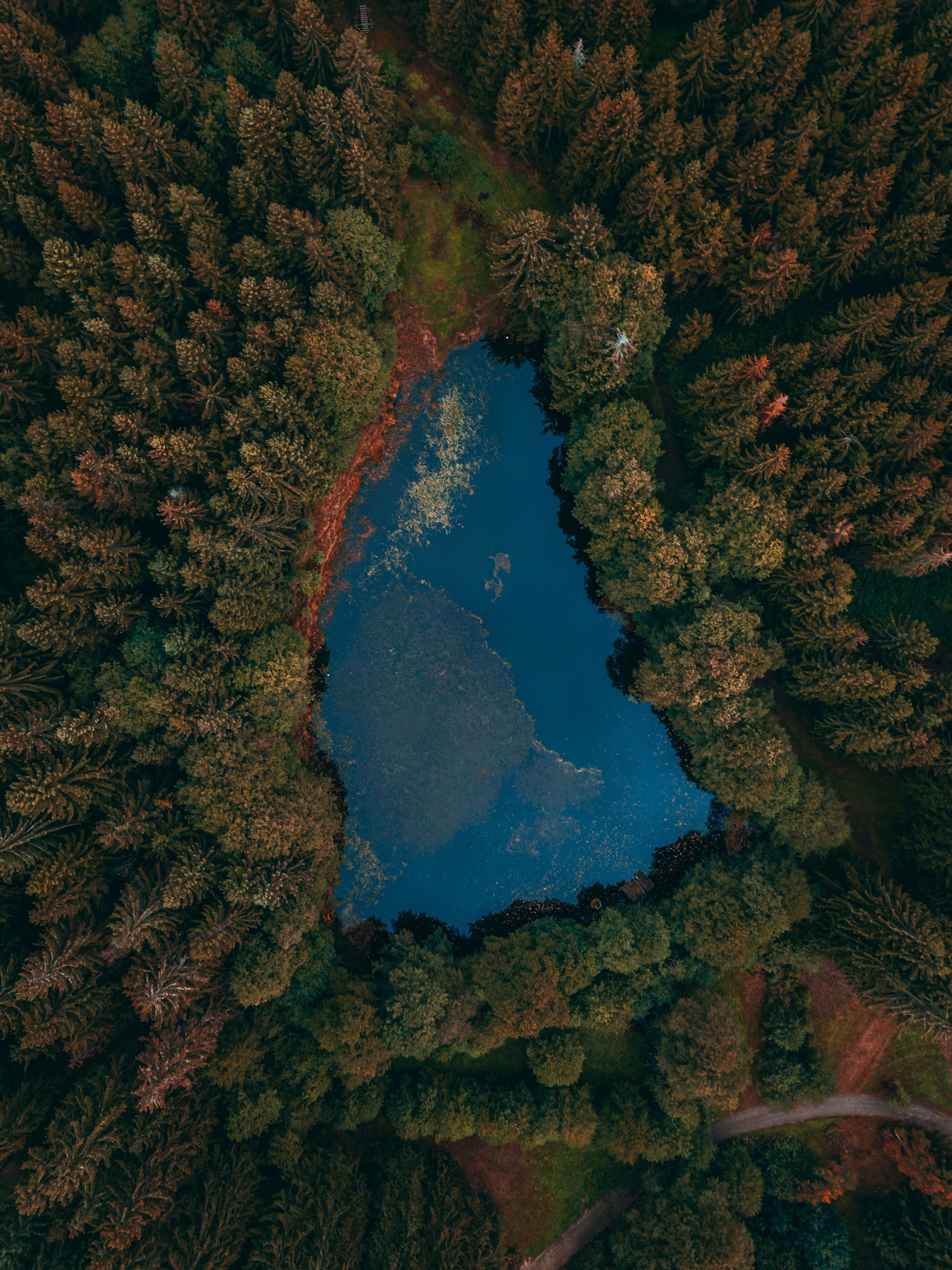 Free download wallpaper View From Above, Lake, Nature, Forest on your PC desktop
