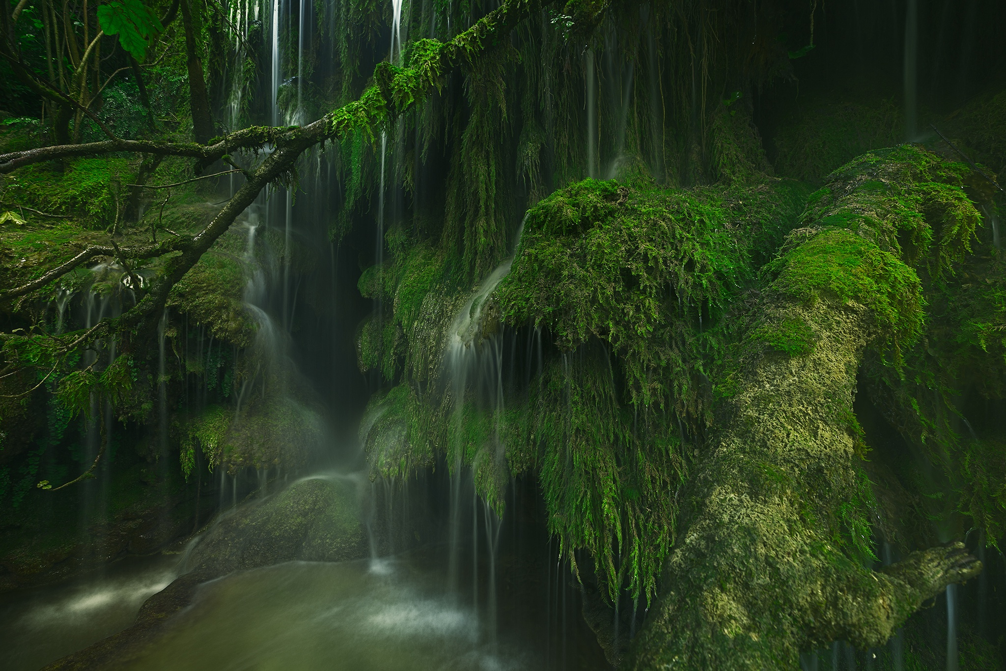 Free download wallpaper Nature, Earth, Moss, Greenery on your PC desktop
