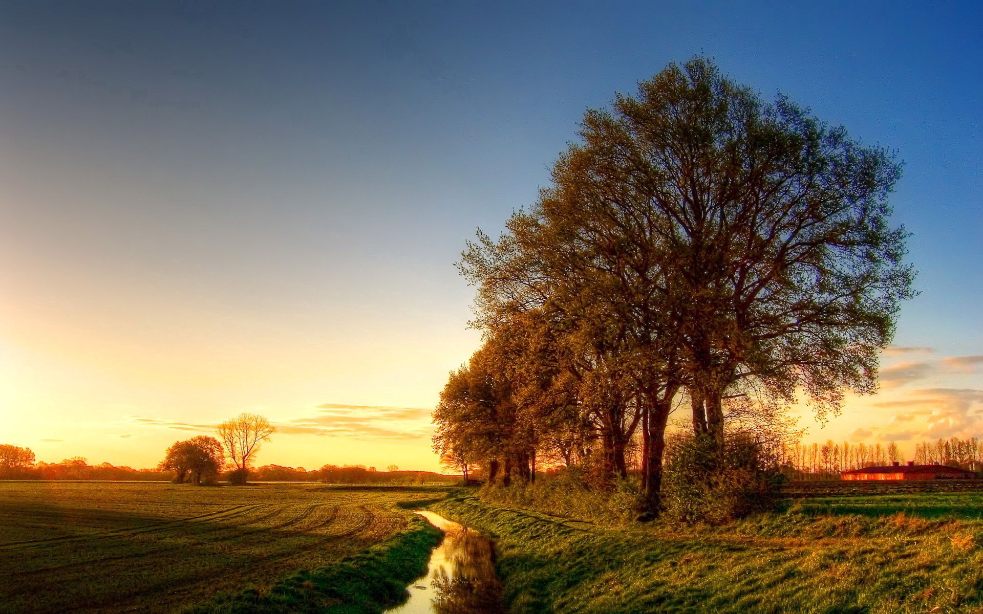 evening, trees, nature, water, shine, light, field, channel, moat, ditch