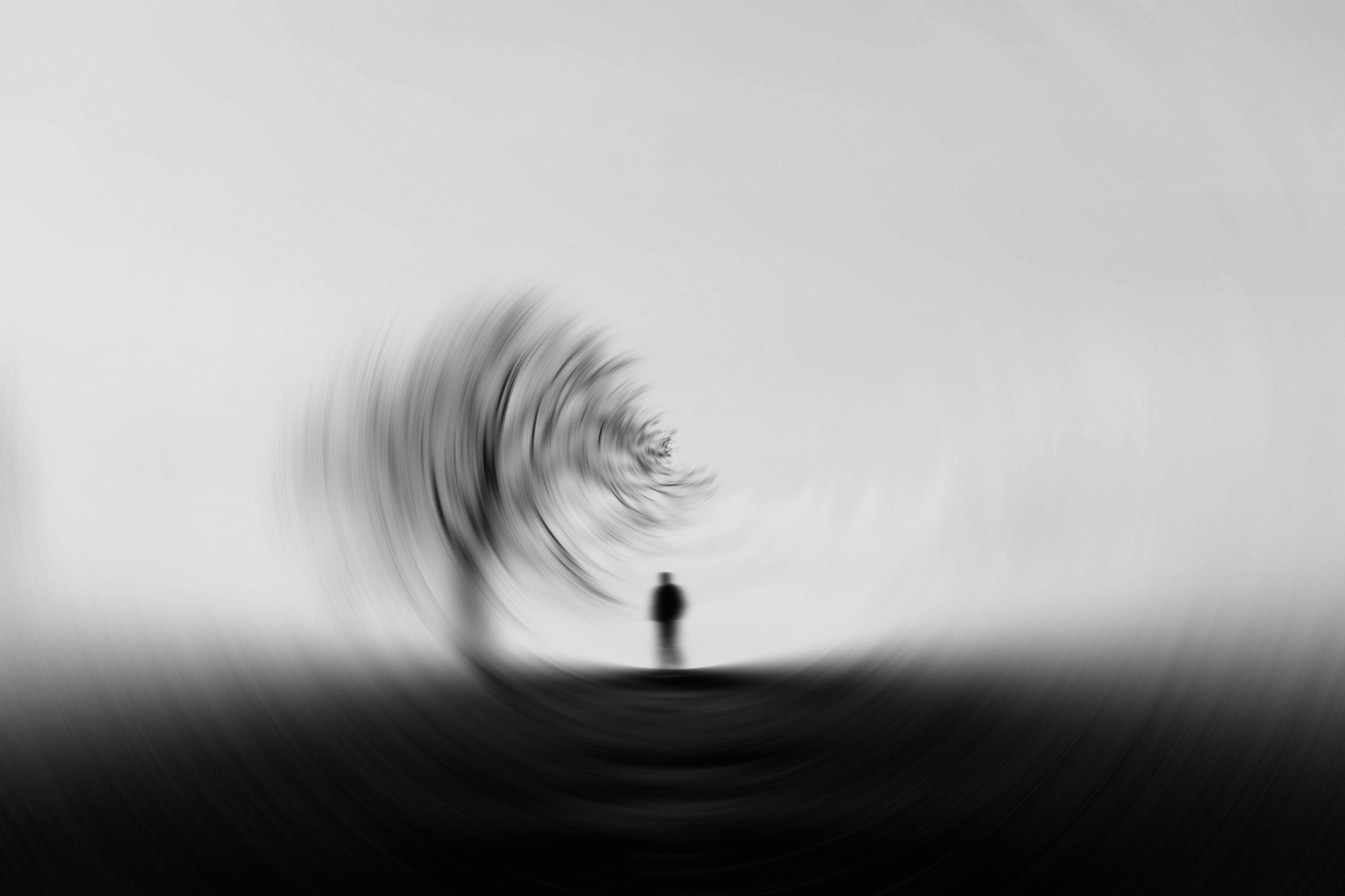 silhouette, miscellanea, miscellaneous, wood, tree, blur, smooth, bw, chb, effect