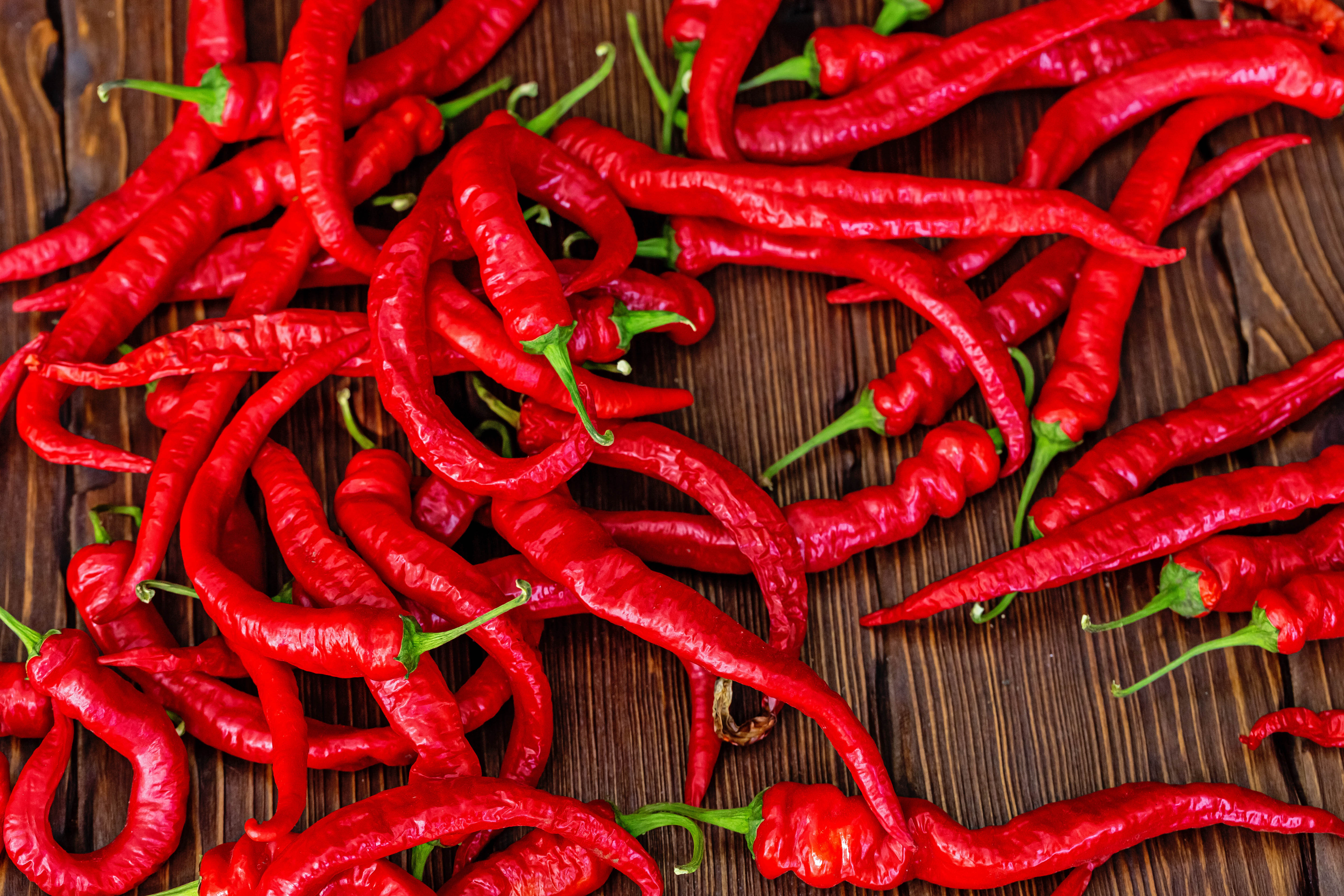 food, pepper, red, acute, sharp, chilli, chili