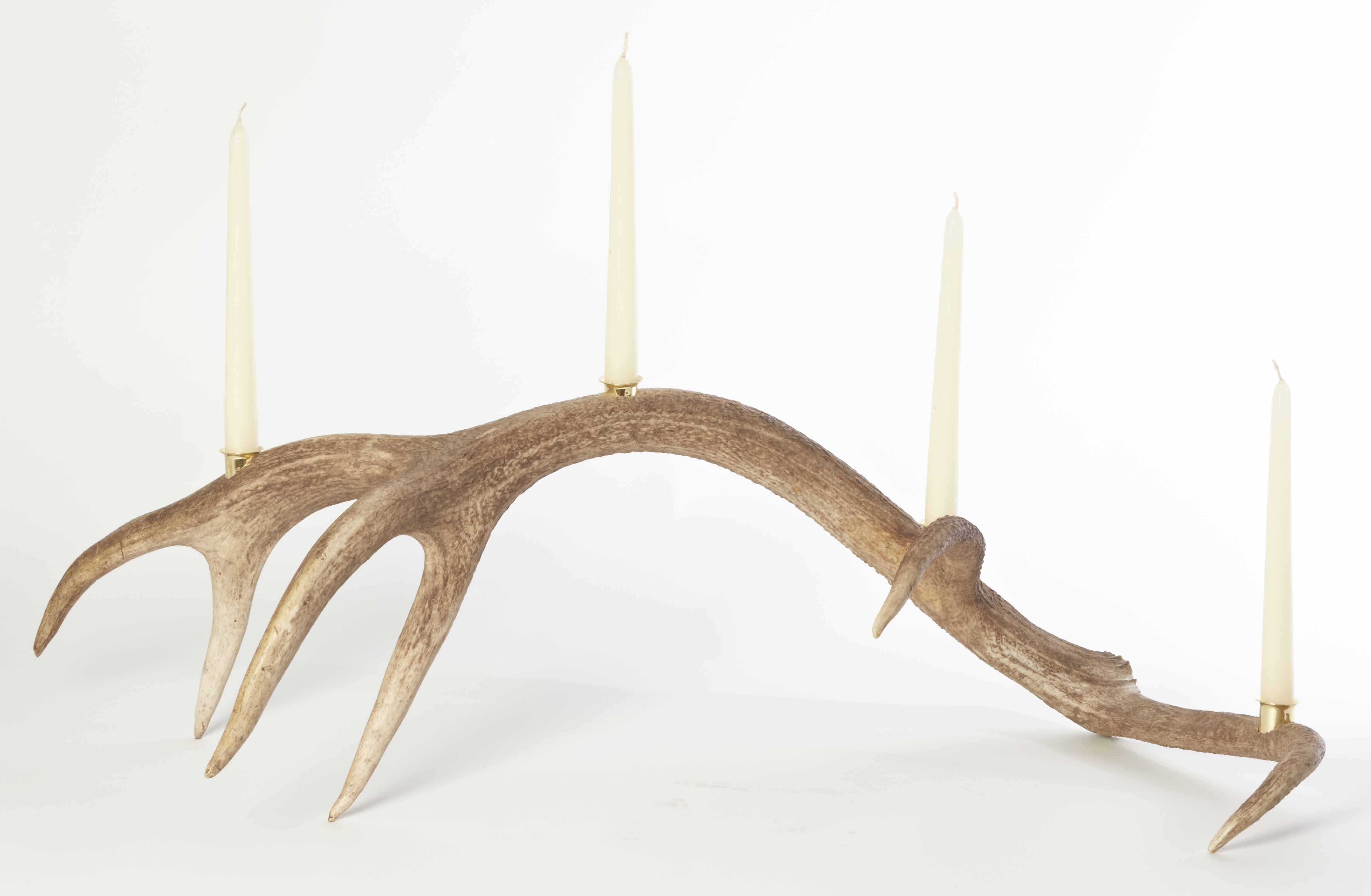 Free download wallpaper Photography, Antler on your PC desktop