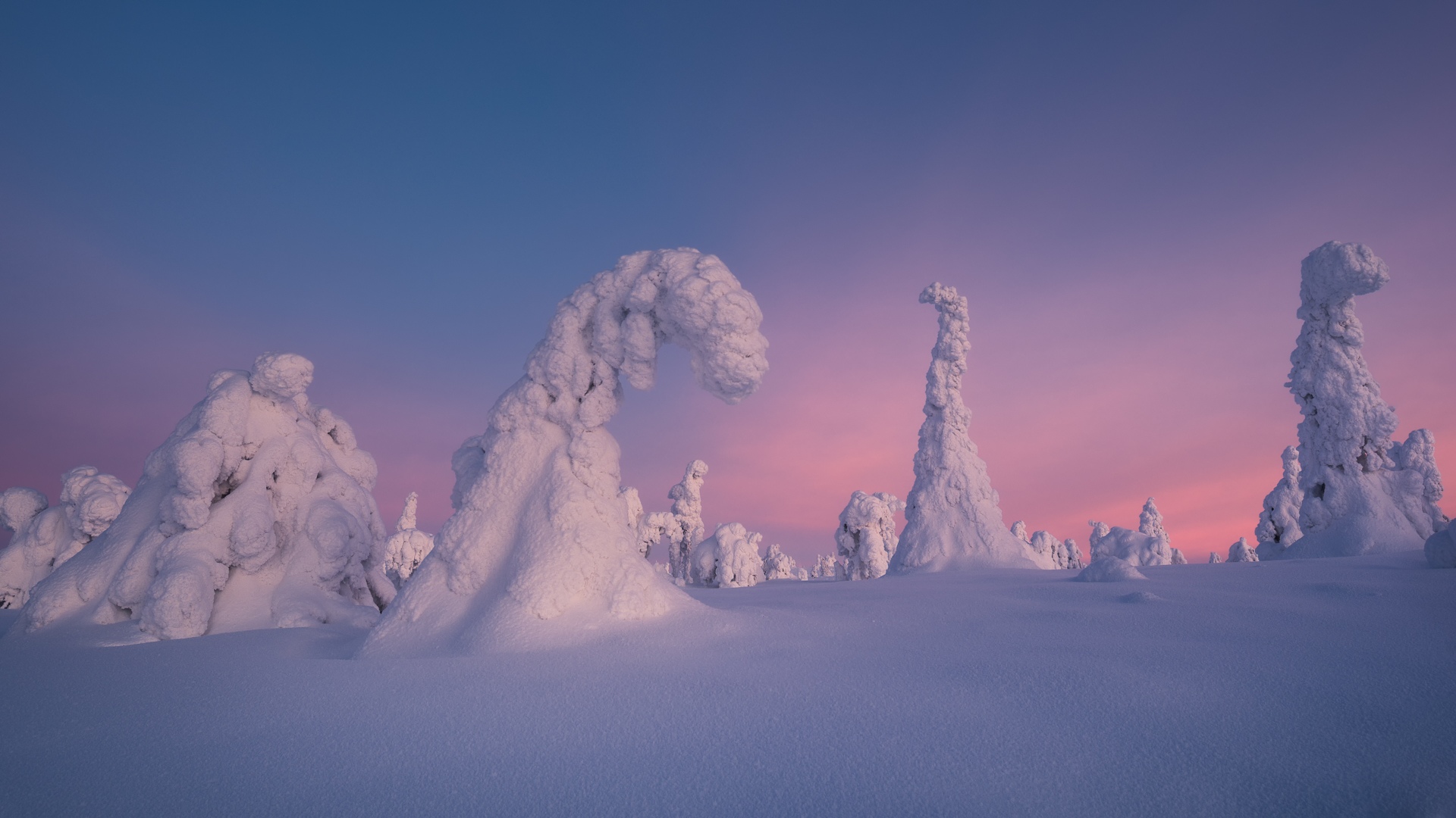 Baixe gratuitamente a imagem Inverno, Natureza, Pôr Do Sol, Neve, Abeto, Terra/natureza na área de trabalho do seu PC