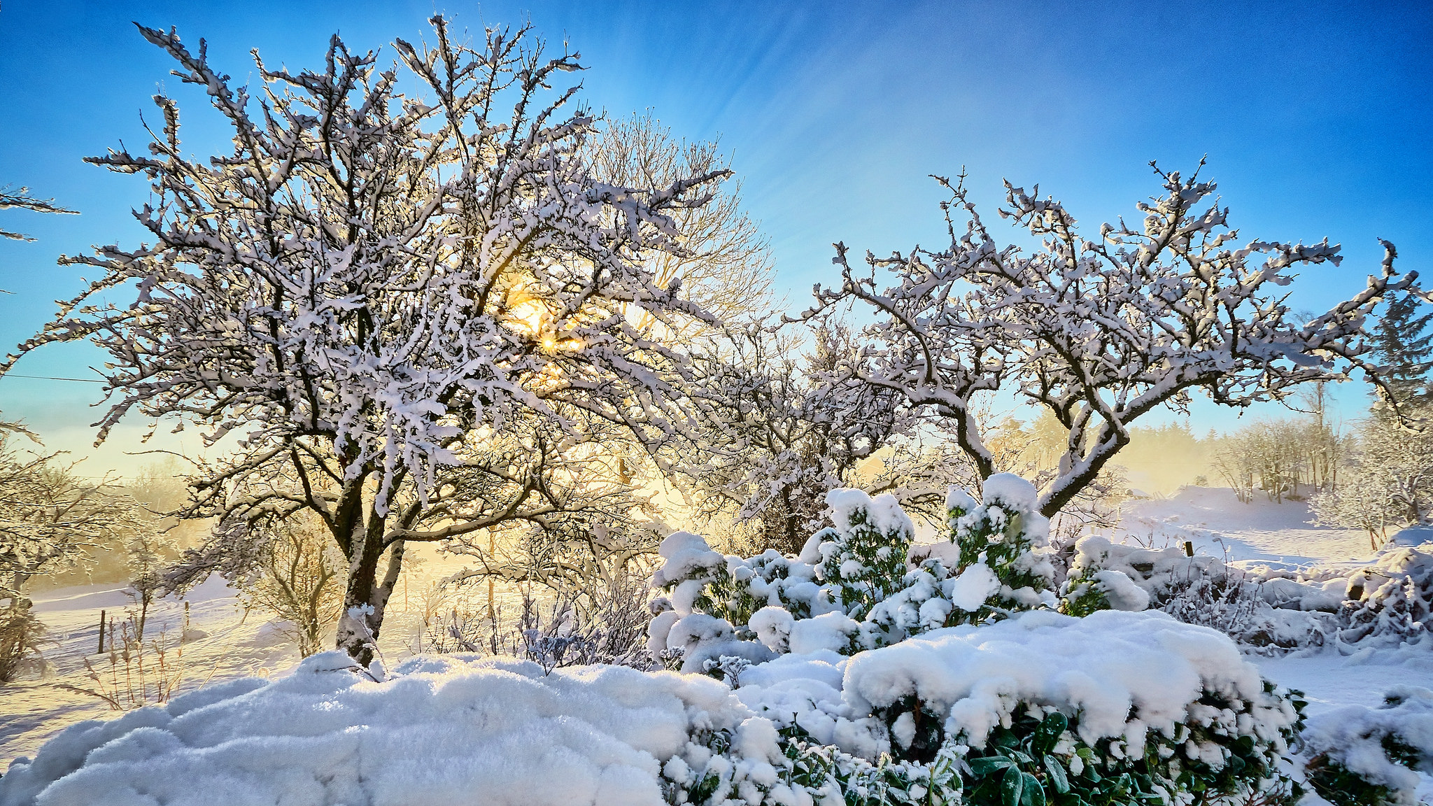 Скачать картинку Зима, Снег, Дерево, Солнечный Луч, Земля/природа в телефон бесплатно.