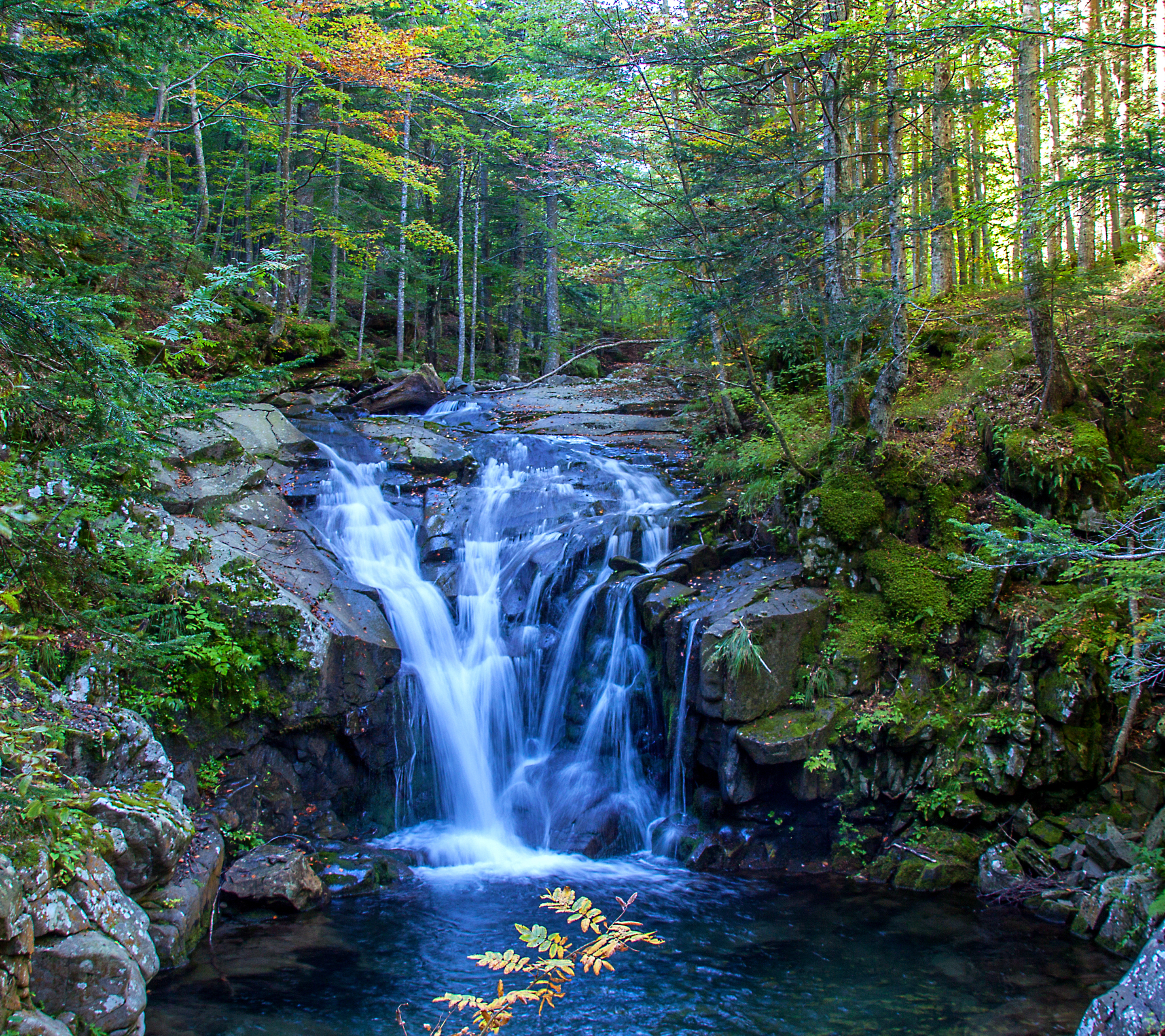 Free download wallpaper Waterfalls, Waterfall, Forest, Tree, Earth on your PC desktop