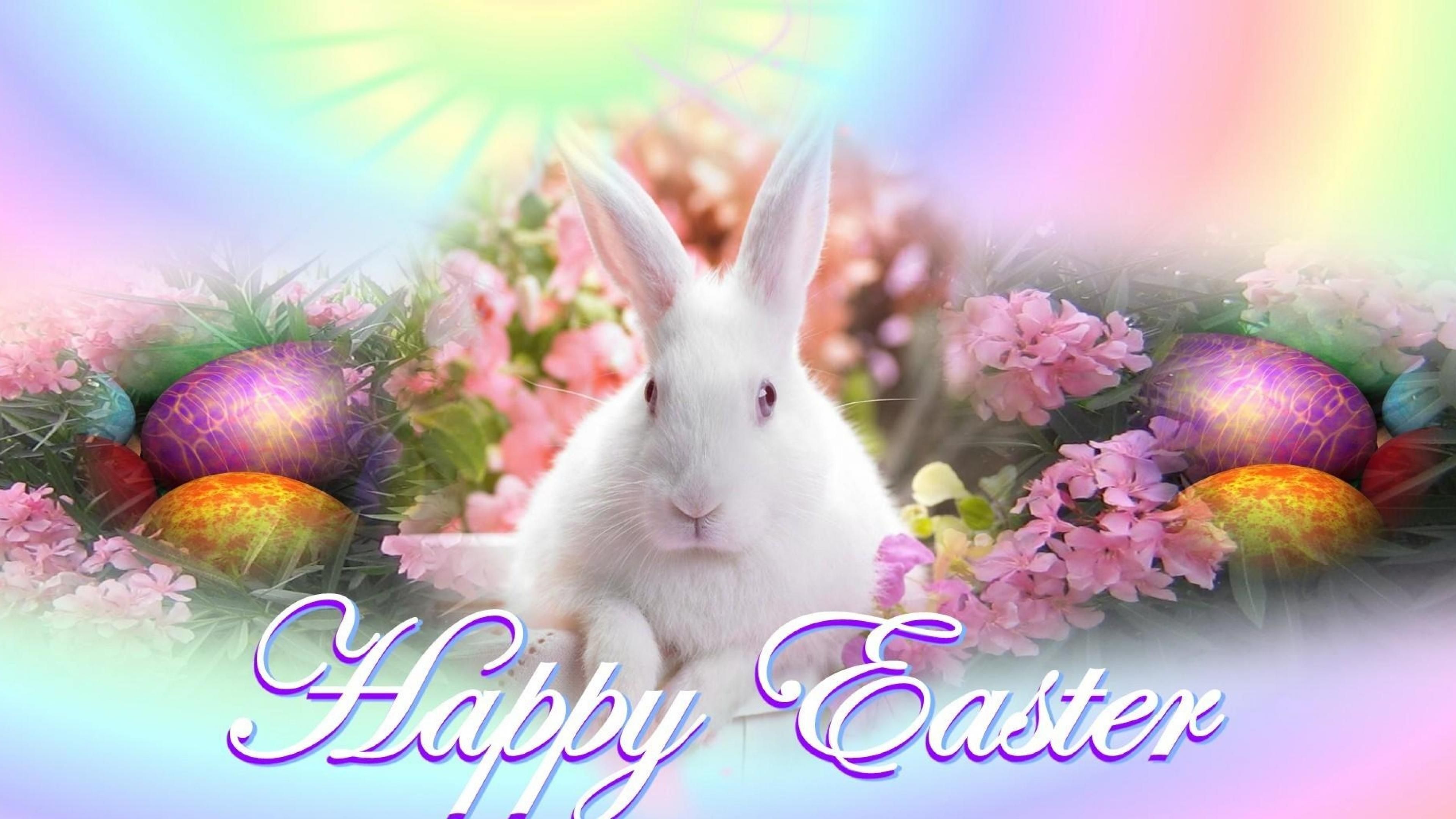 742591 завантажити картинку свято, великдень, зайчик, пасхальне яйце, щасливого великодня, кролик - шпалери і заставки безкоштовно