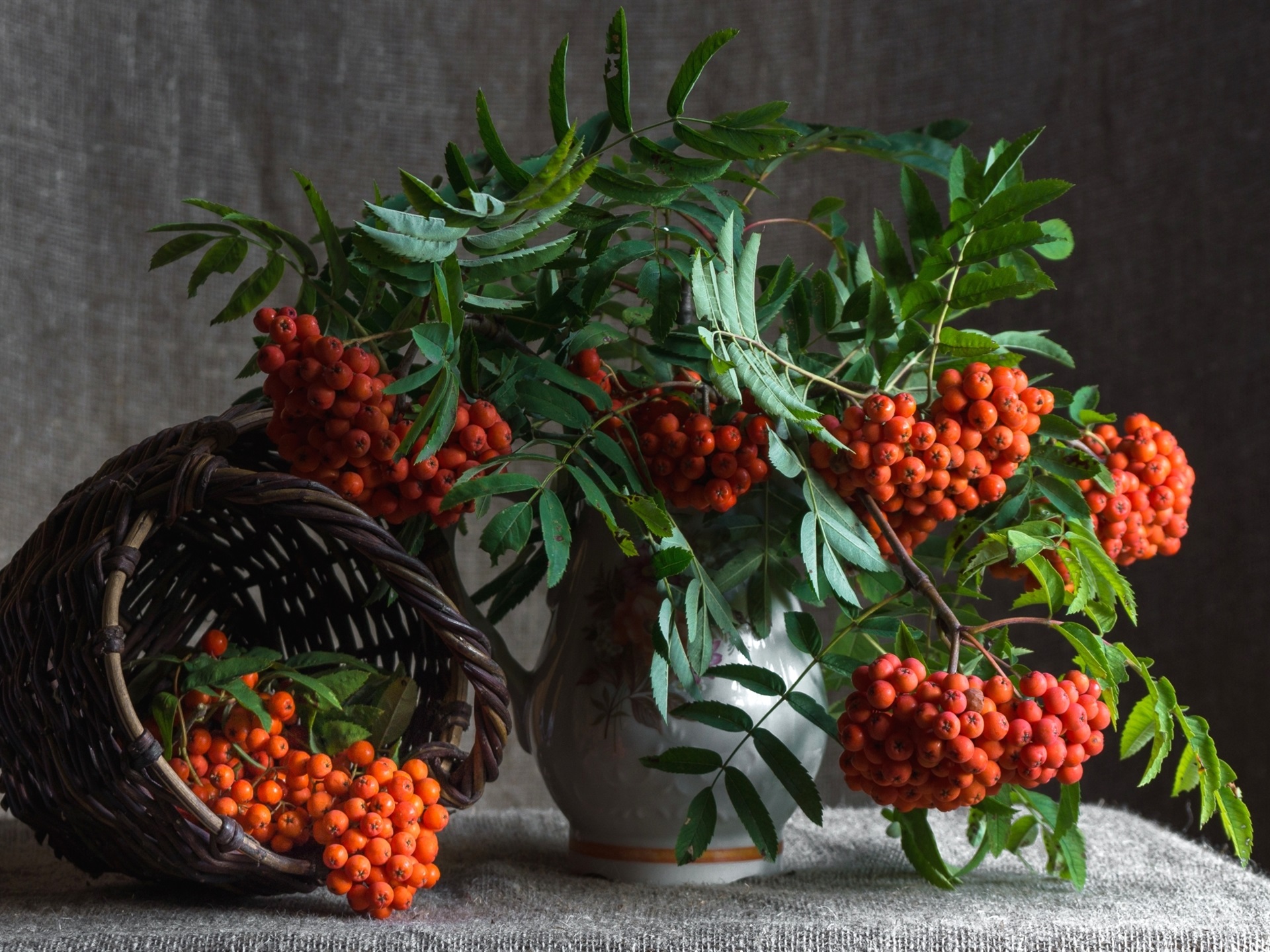 Download mobile wallpaper Still Life, Plant, Berry, Photography, Orange (Color), Firethorn for free.