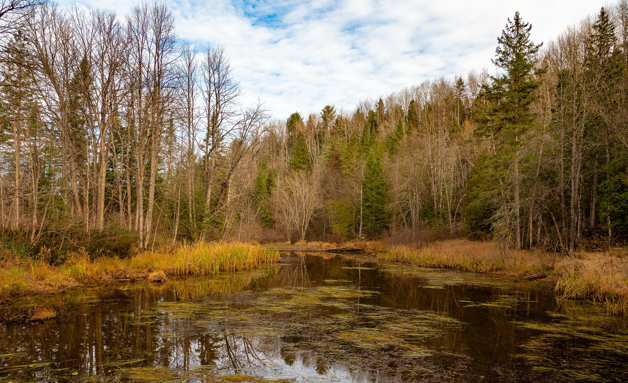 Download mobile wallpaper Lake, Forest, Fall, Earth for free.