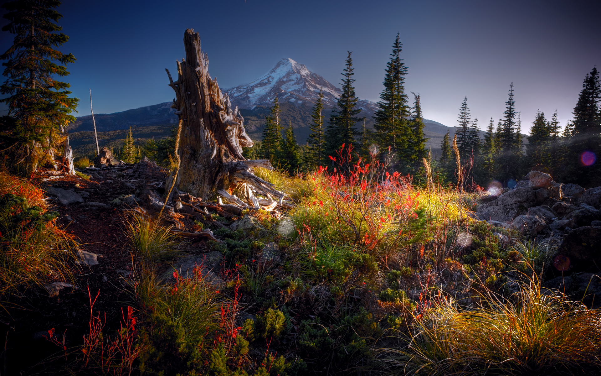 Descarga gratuita de fondo de pantalla para móvil de Paisaje, Tierra/naturaleza.