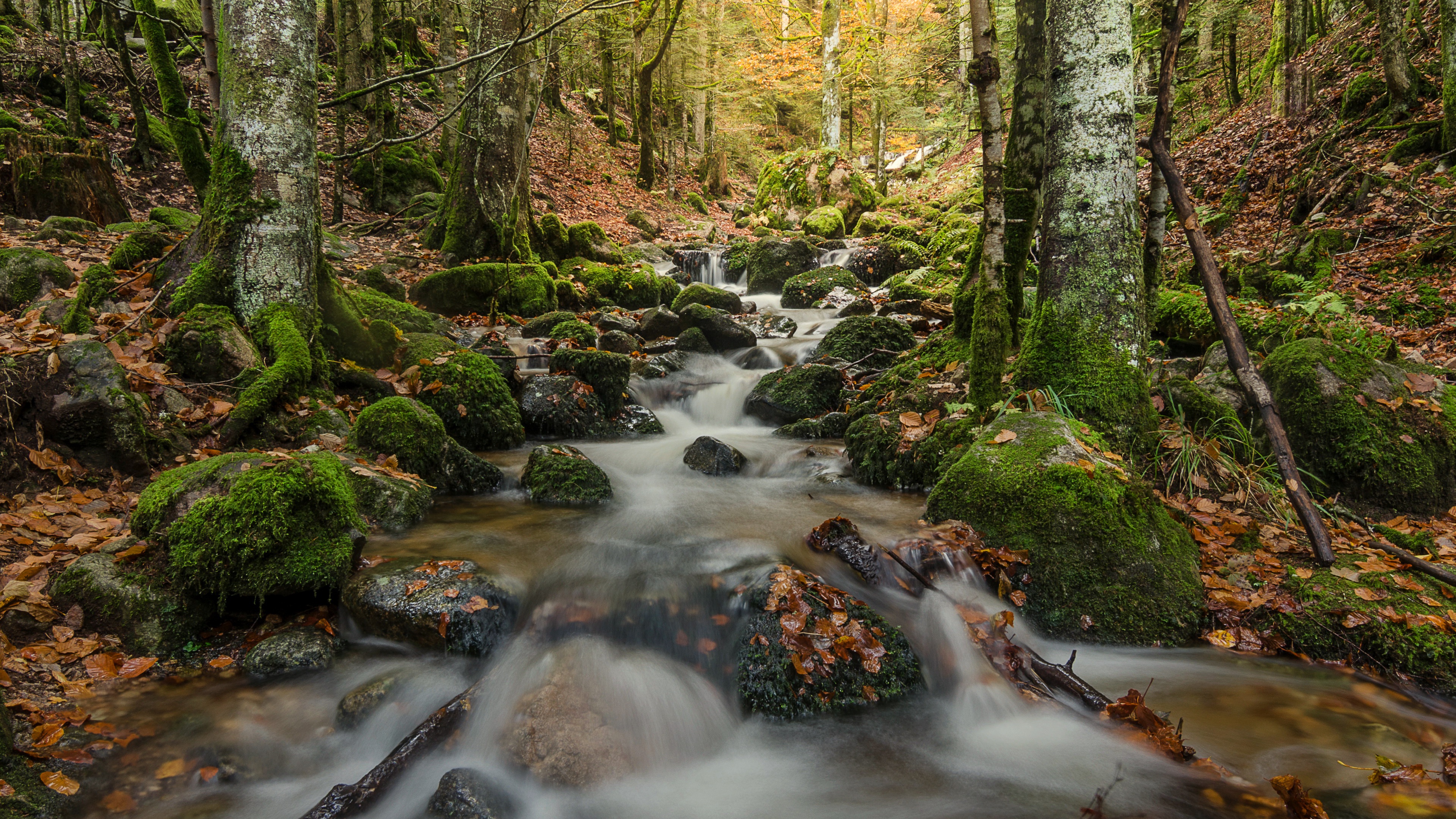 Free download wallpaper Nature, Earth, Stream on your PC desktop