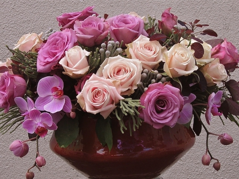 Descarga gratuita de fondo de pantalla para móvil de Flores, Plantas, Bouquets.