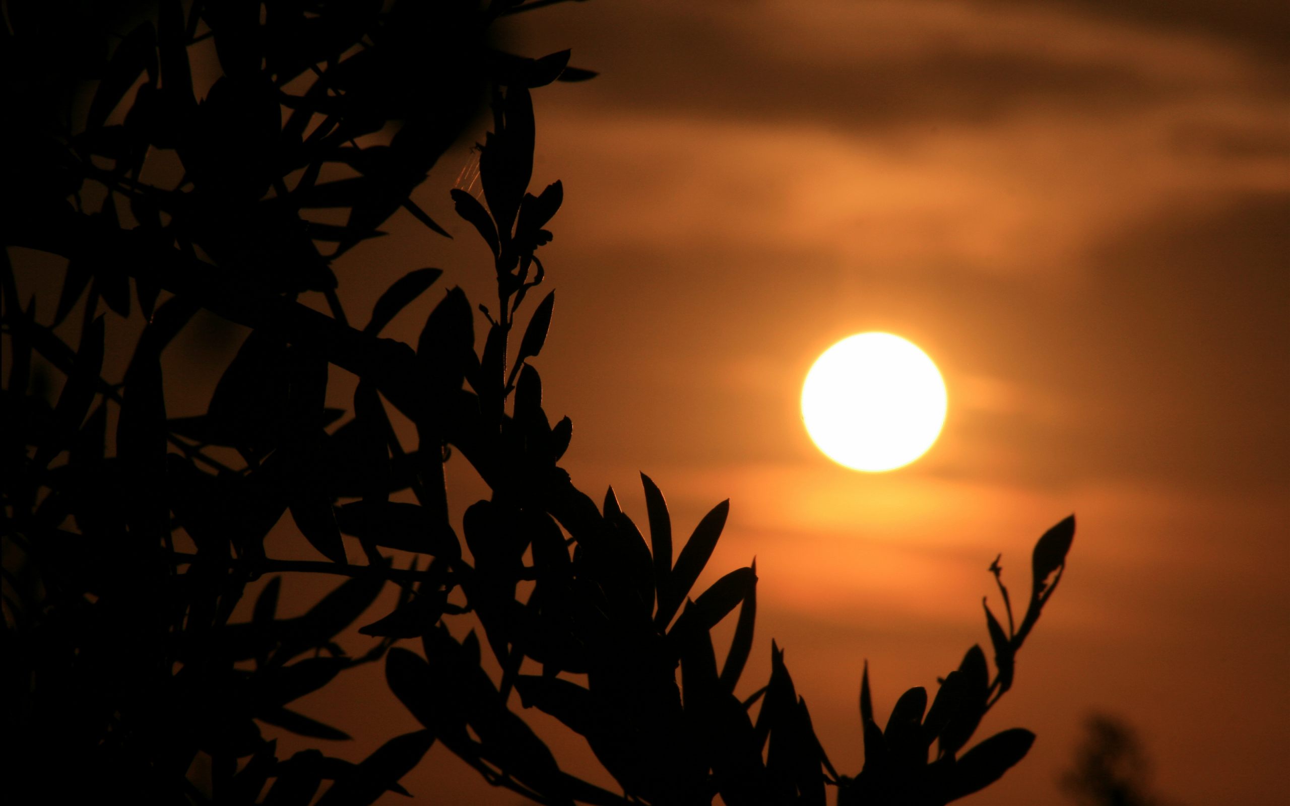 Скачать картинку Закат Солнца, Земля/природа в телефон бесплатно.