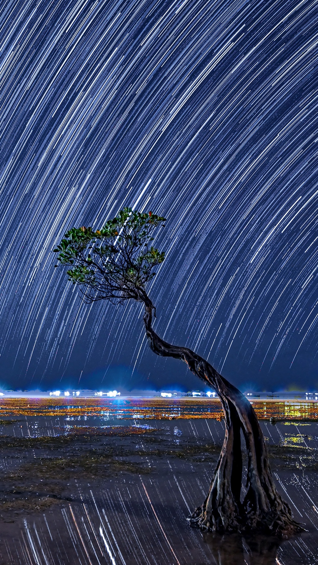 Download mobile wallpaper Sky, Stars, Night, Horizon, Tree, Earth, Star Trail for free.
