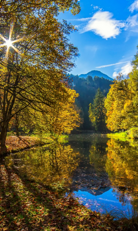 Download mobile wallpaper Landscape, Nature, Tree, Fall, Austria, Earth, Tyrol for free.