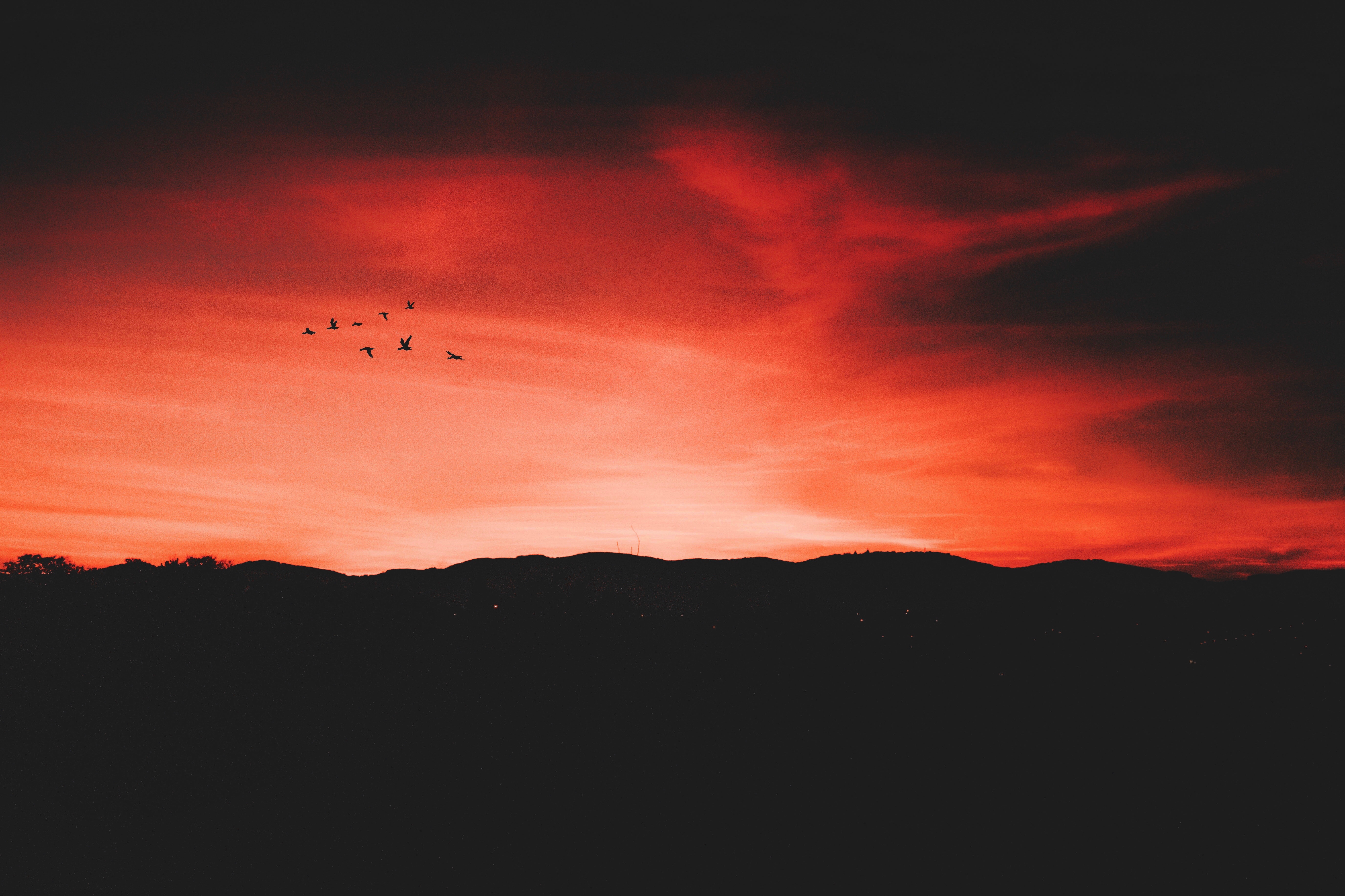 Free download wallpaper Horizon, Sky, Birds, Night, Dark on your PC desktop