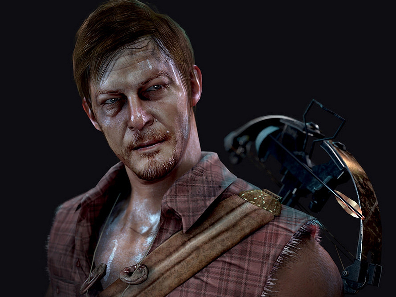 Download mobile wallpaper Tv Show, Norman Reedus, The Walking Dead, Daryl Dixon for free.