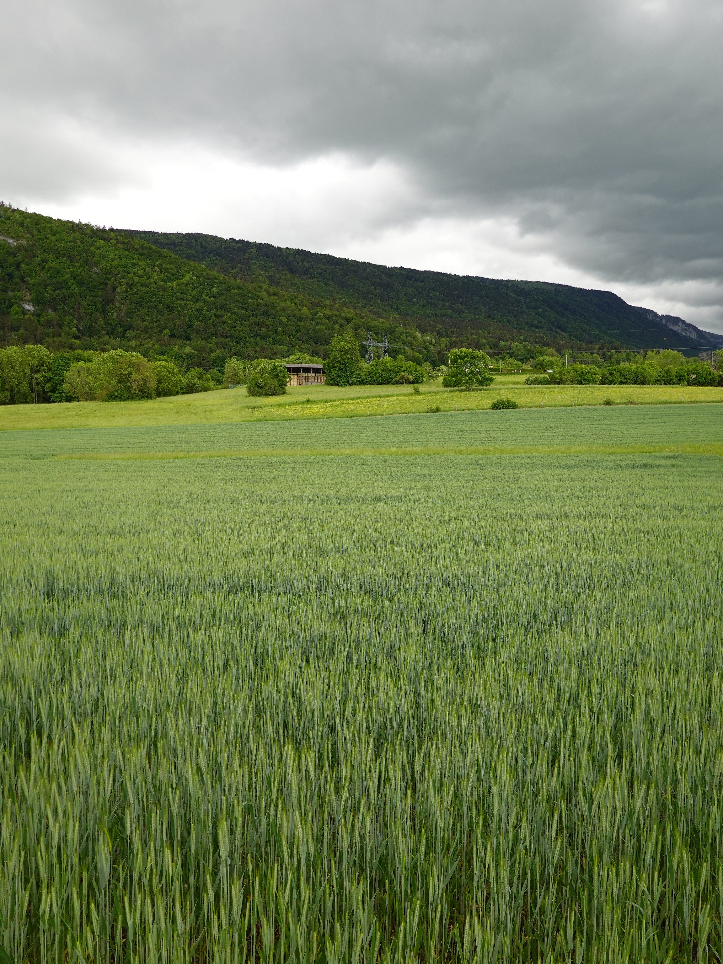 Download mobile wallpaper Field, Nature, Greens, Hills, Landscape for free.