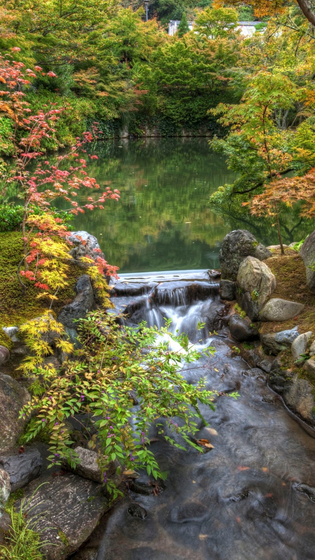 Скачать картинку Природа, Осень, Парк, Куст, Сад, Япония, Падать, Киото, Сделано Человеком, Сад Гармонии в телефон бесплатно.