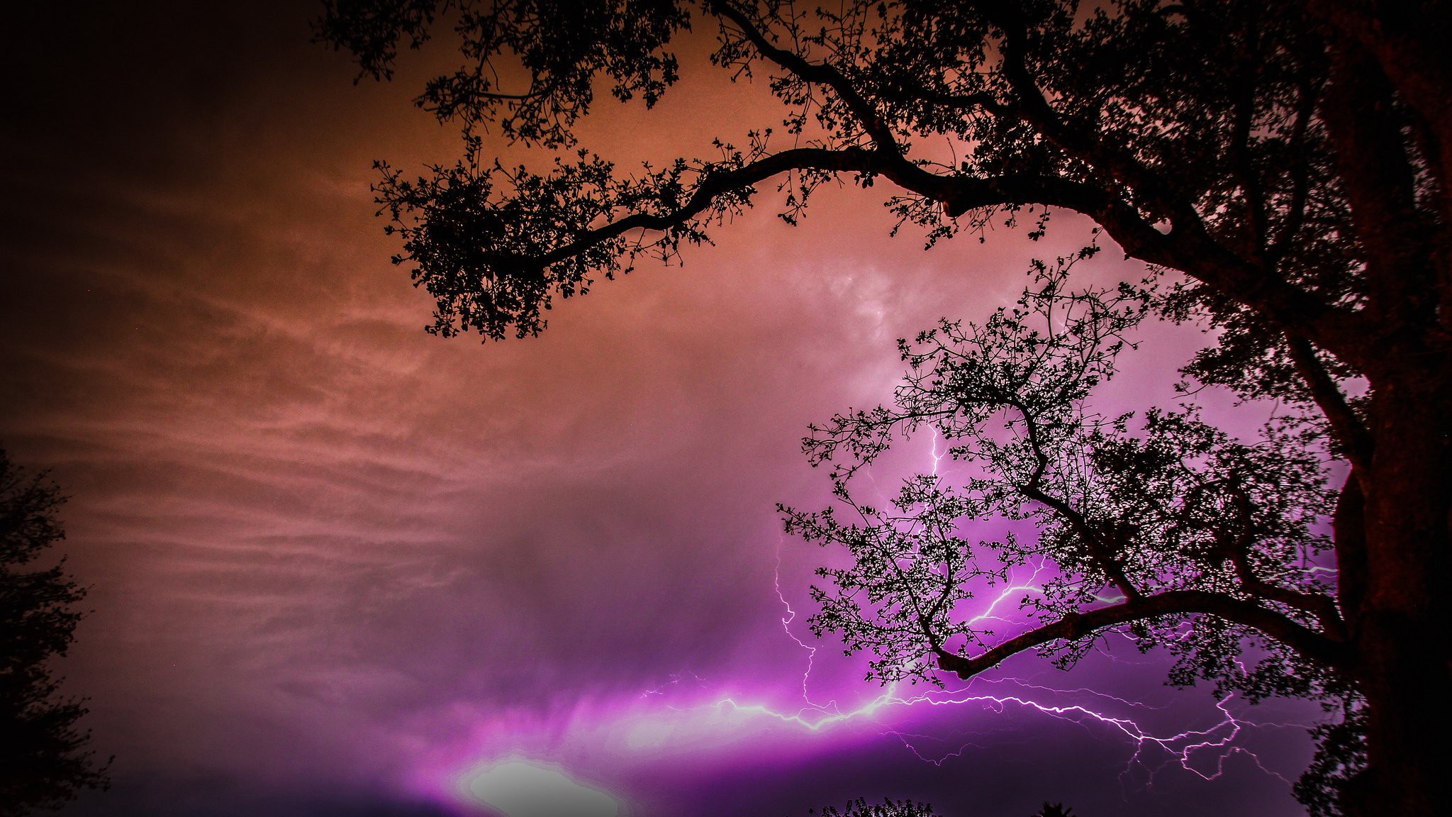 Laden Sie das Blitz, Silhouette, Ast, Erde, Wolke, Fotografie, Himmel-Bild kostenlos auf Ihren PC-Desktop herunter