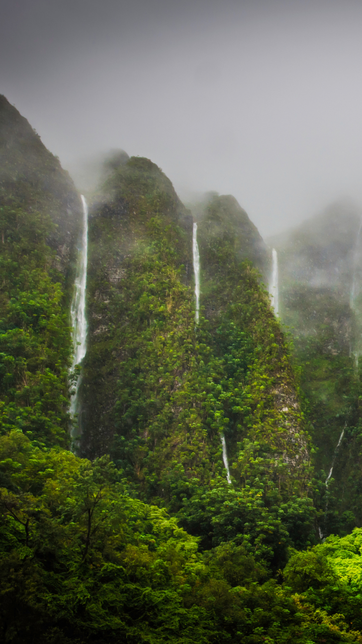 Скачати мобільні шпалери Водоспади, Водоспад, Туман, Земля, Гаваї, Джунглі, Оаху безкоштовно.