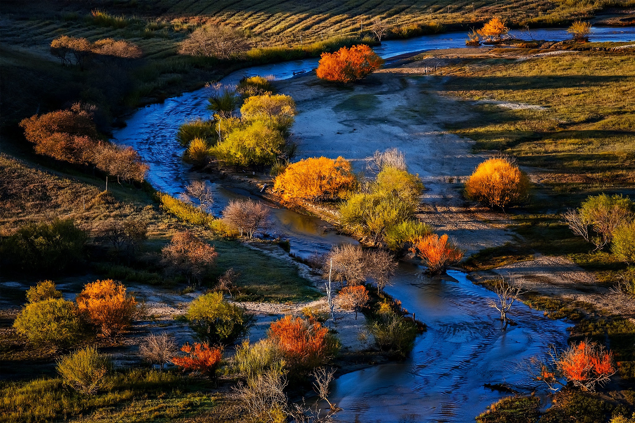 Free download wallpaper Tree, Fall, Earth, River on your PC desktop