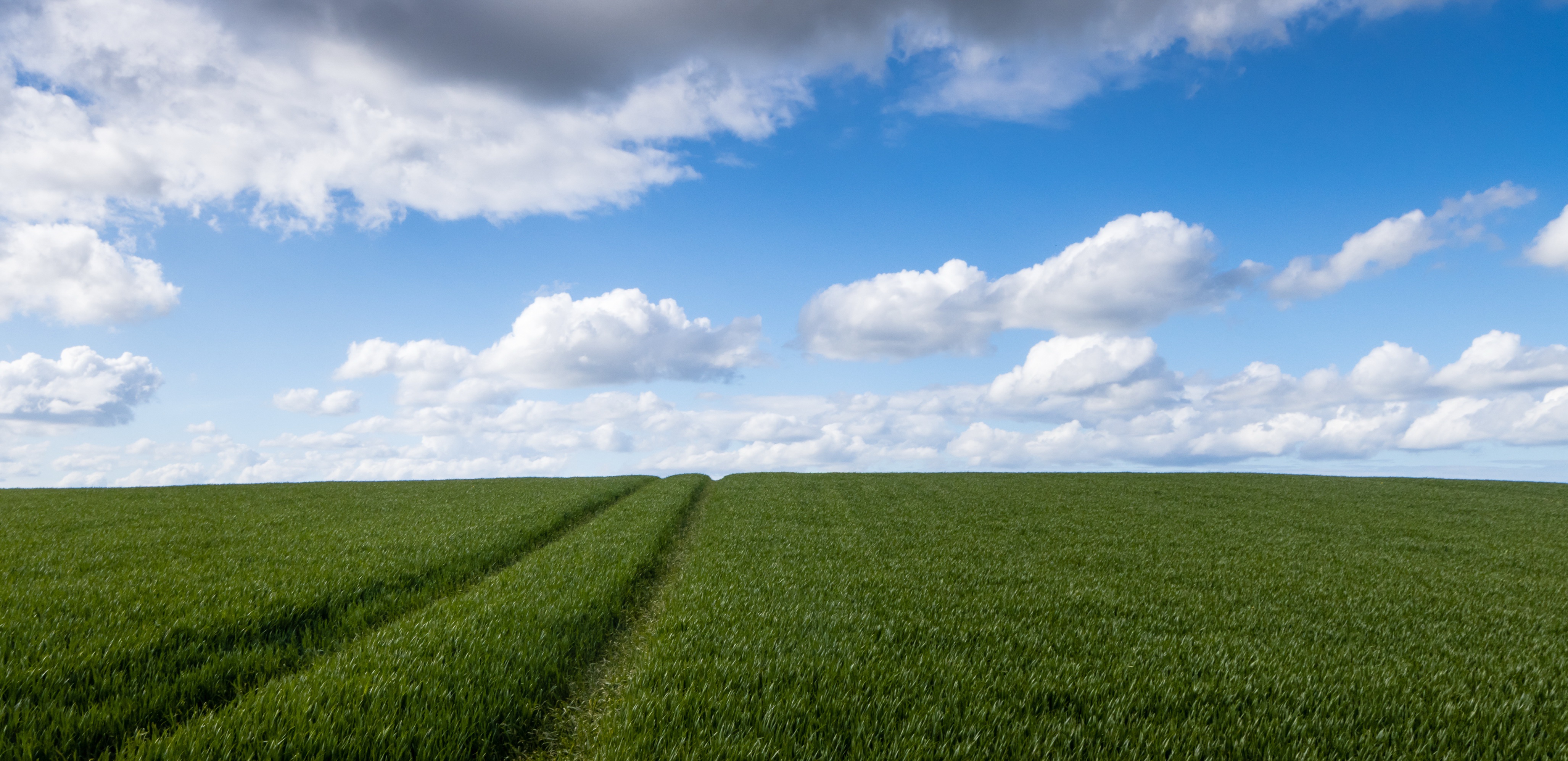 Descarga gratis la imagen Cielo, Campo, Tierra/naturaleza en el escritorio de tu PC