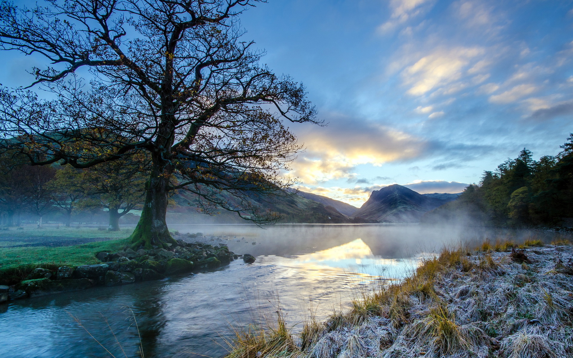 Téléchargez gratuitement l'image Paysage, Arbre, Terre/nature sur le bureau de votre PC