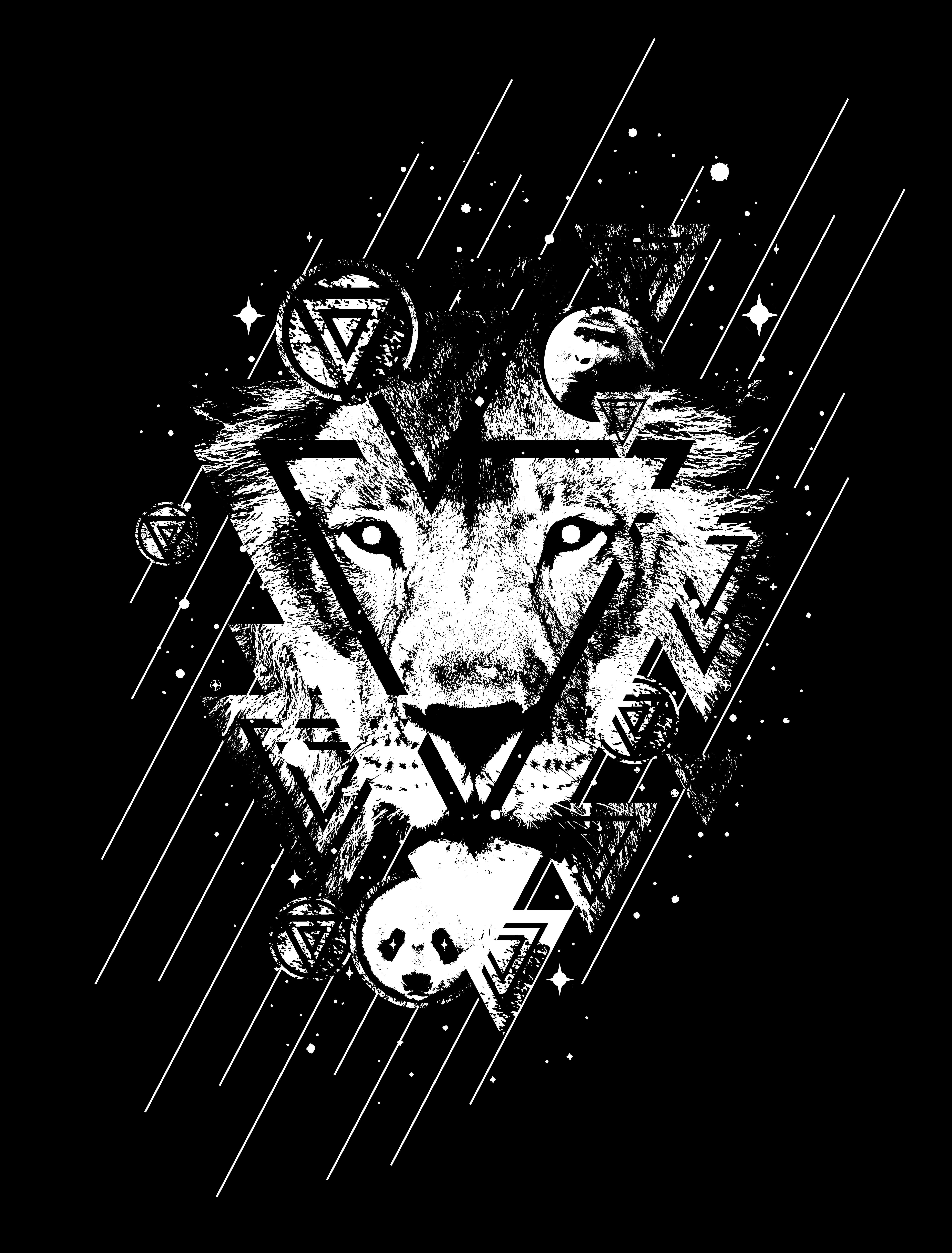 Download mobile wallpaper Chb, Stains, Bw, Triangles, Spots, Lines, Lion, Art for free.
