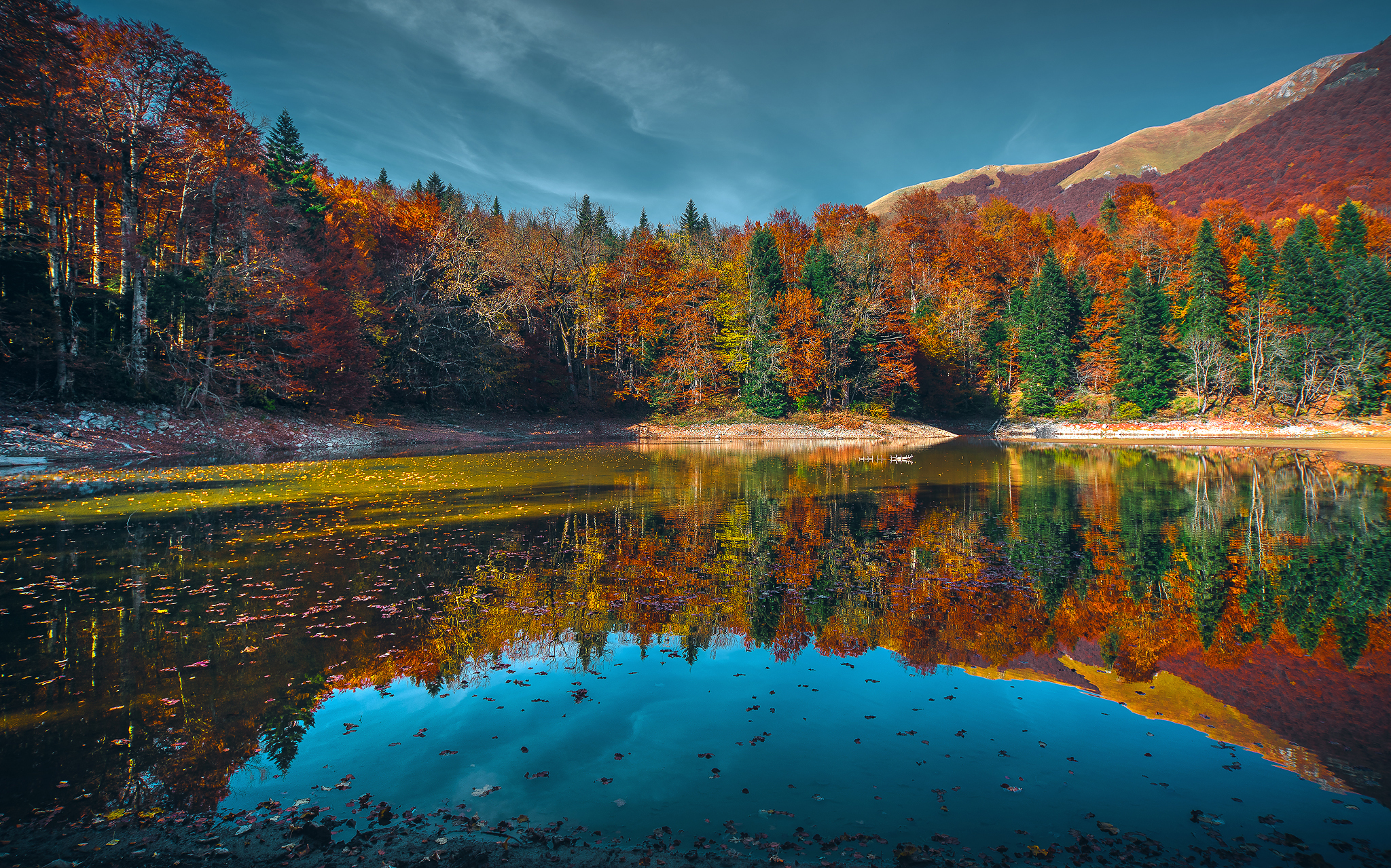 871198 descargar imagen tierra/naturaleza, reflejo, otoño, bosque, lago, montenegro, naturaleza: fondos de pantalla y protectores de pantalla gratis