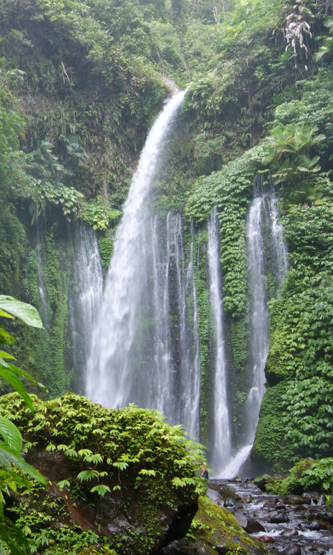 Handy-Wallpaper Wasserfälle, Wasserfall, Wald, Baum, Erde, Dschungel, Erde/natur, Regenwald, Urwald kostenlos herunterladen.