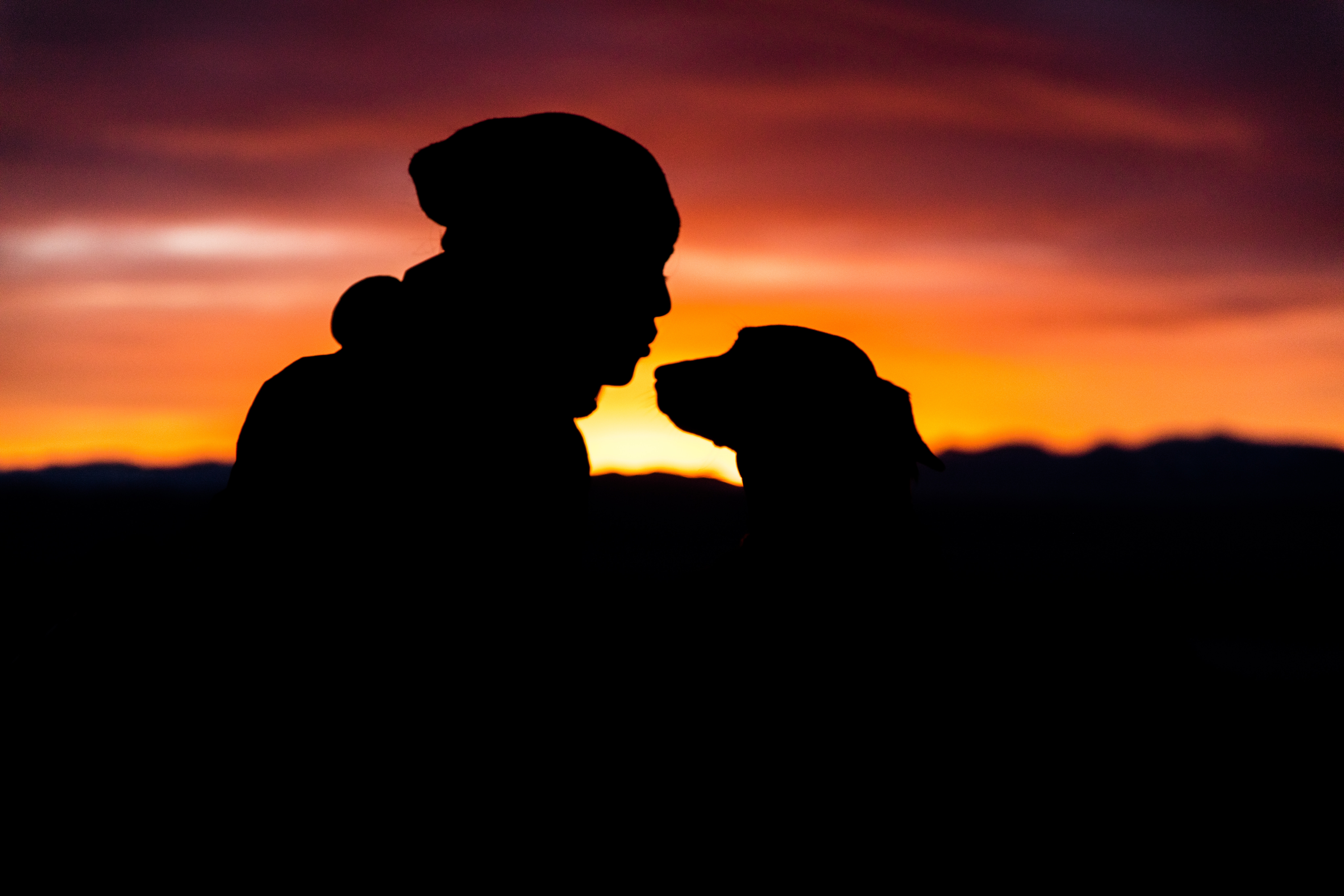 Download mobile wallpaper Dog, Person, Human, Silhouettes, Dark for free.