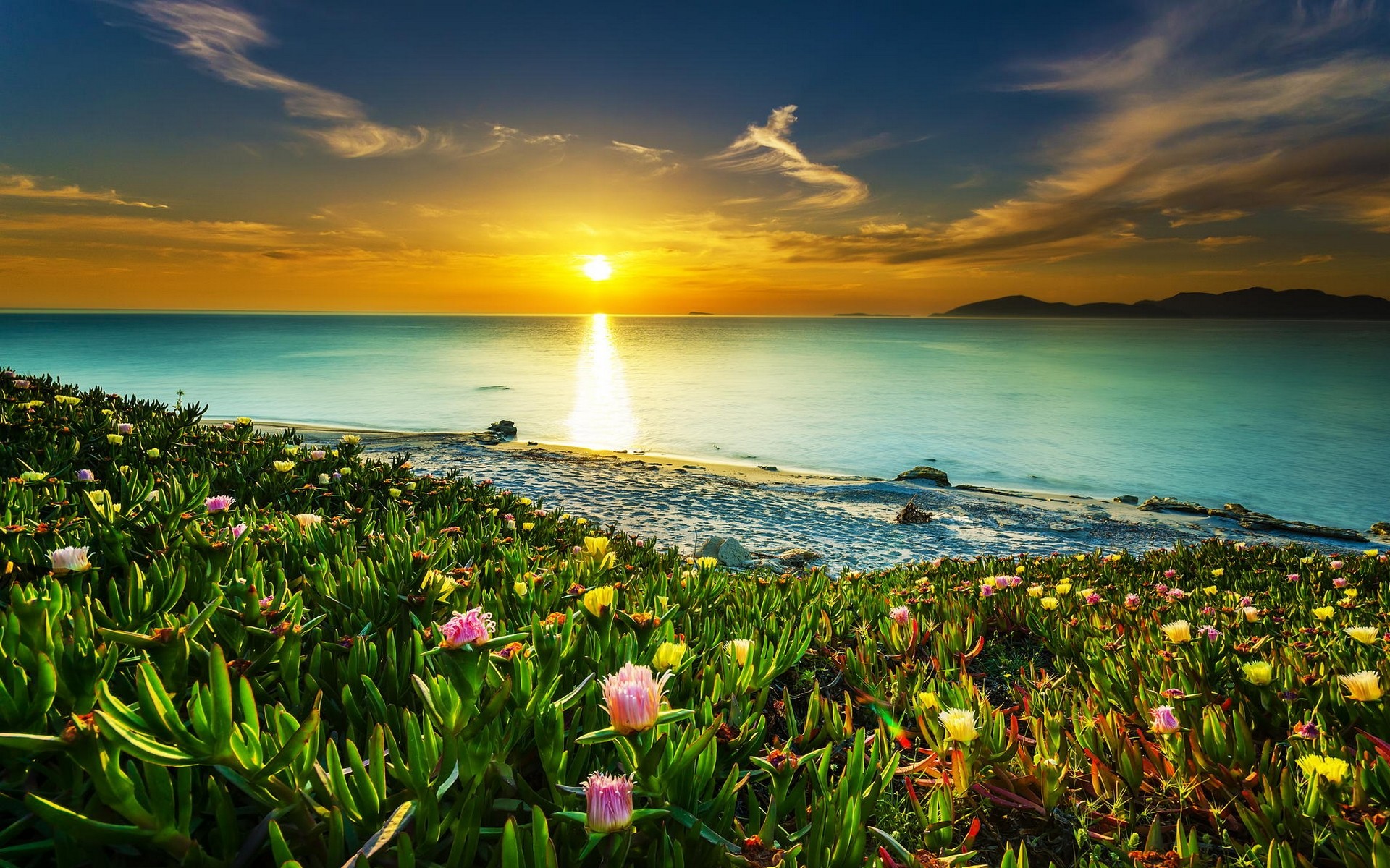 Free download wallpaper Sun, Horizon, Flower, Ocean, Earth, Coastline on your PC desktop