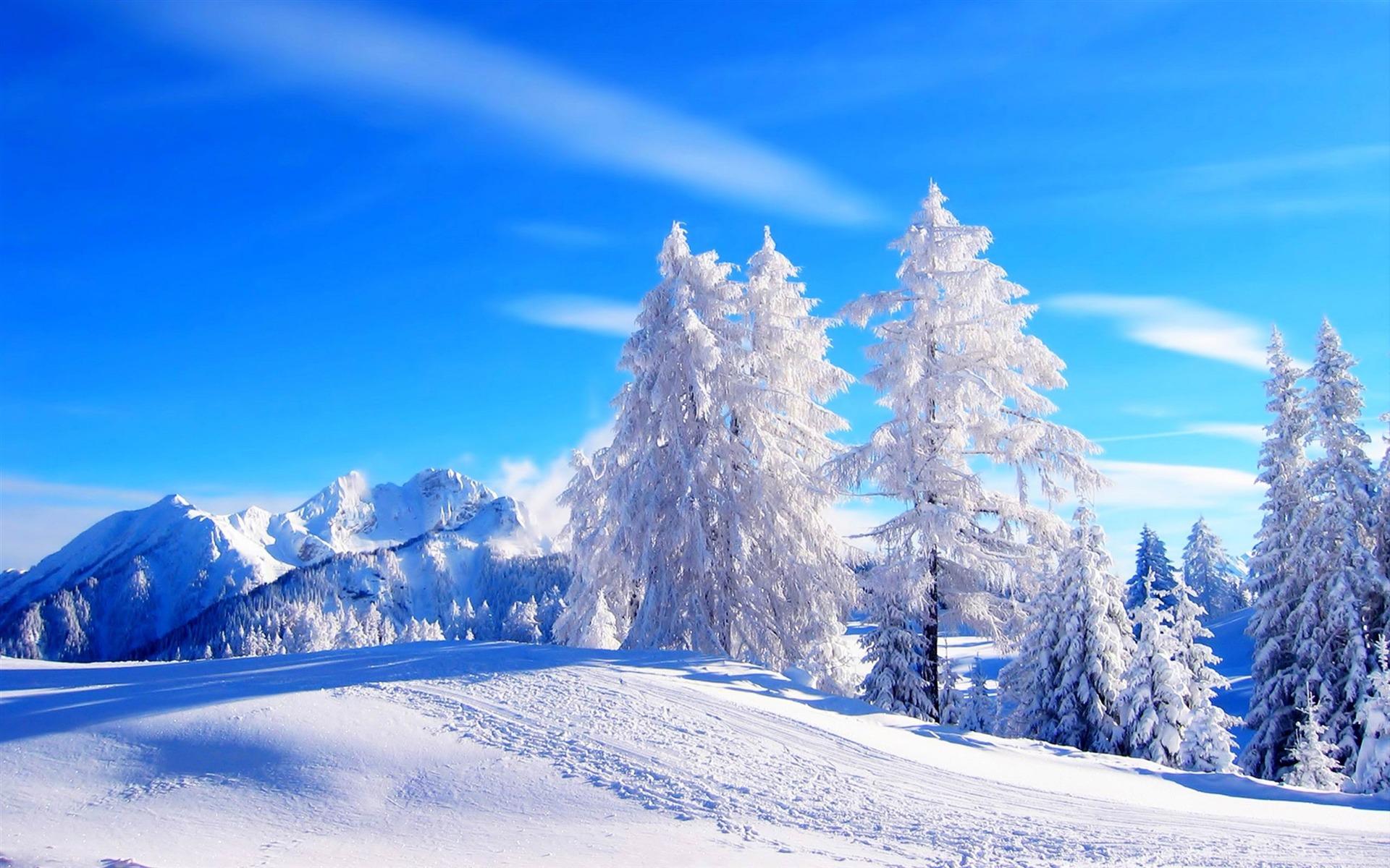 Download mobile wallpaper Winter, Snow, Tree, Earth for free.